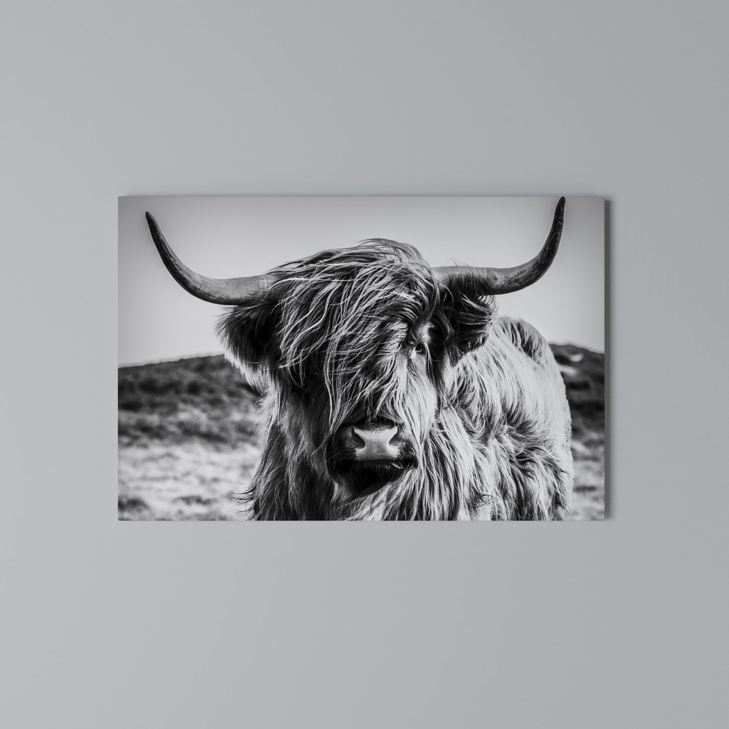WILD SPIRIT REFLECTED Horizontal Canvas Print