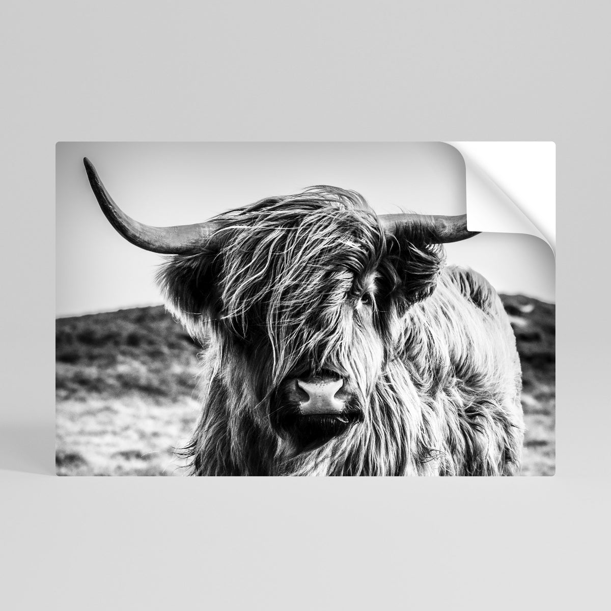 WILD SPIRIT REFLECTED Peel and Stick Horizontal Poster