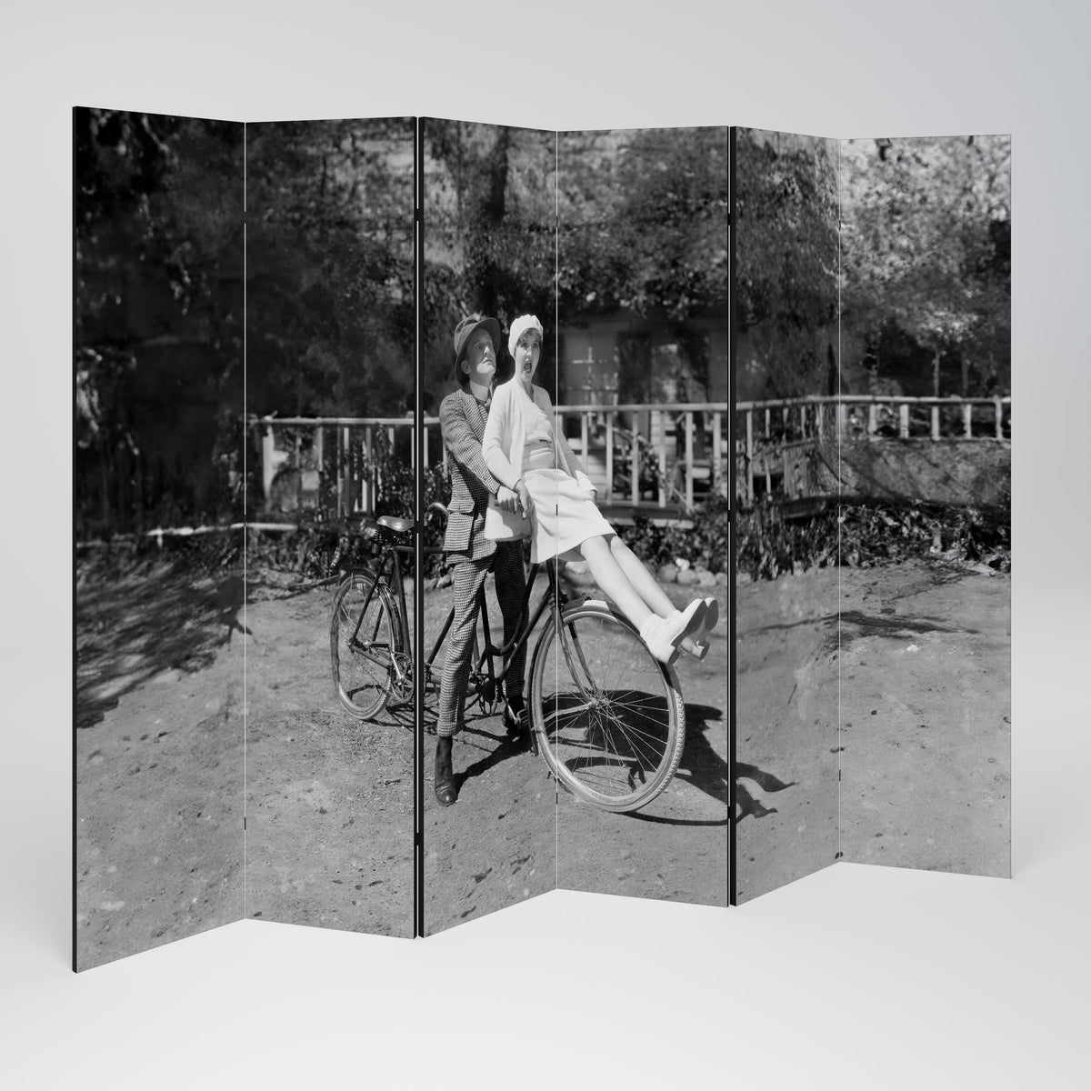 RIDING THROUGH TIME Rumsavdelare 6 paneler