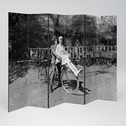 RIDING THROUGH TIME Rumsavdelare 6 paneler