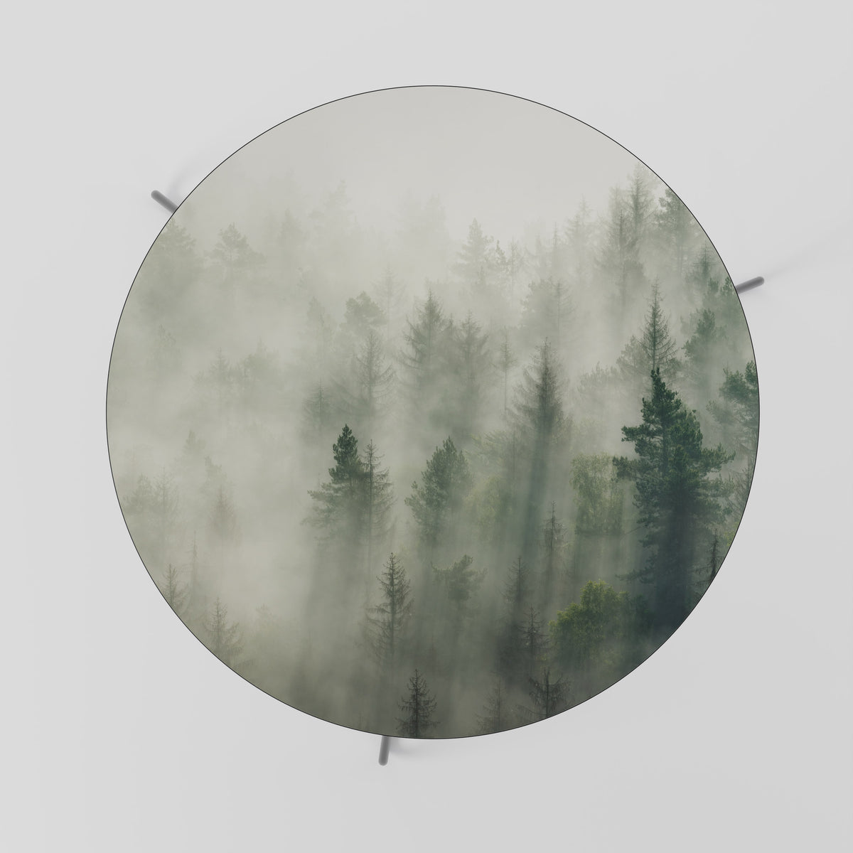 MISTY FOREST Couchtisch