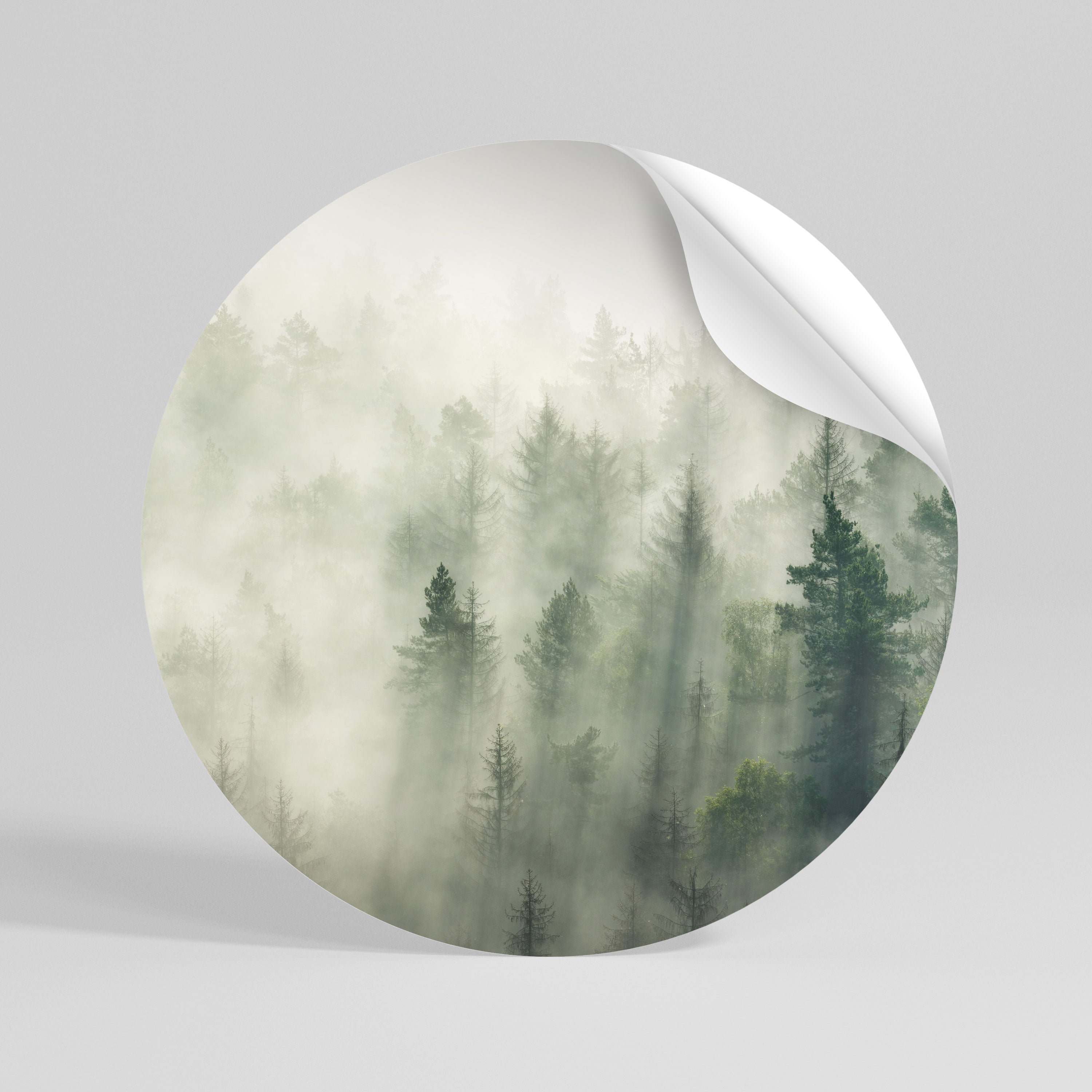 MISTY FOREST Peel and Stick Round Sticker