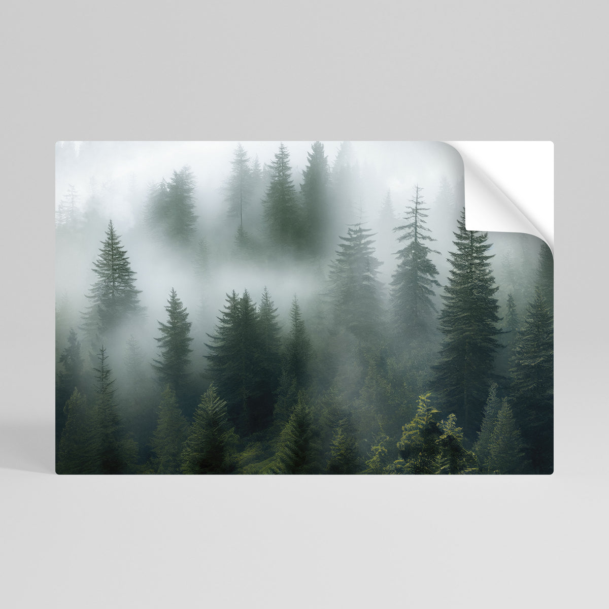 FOGGY CREST Póster Autocolante Horizontal