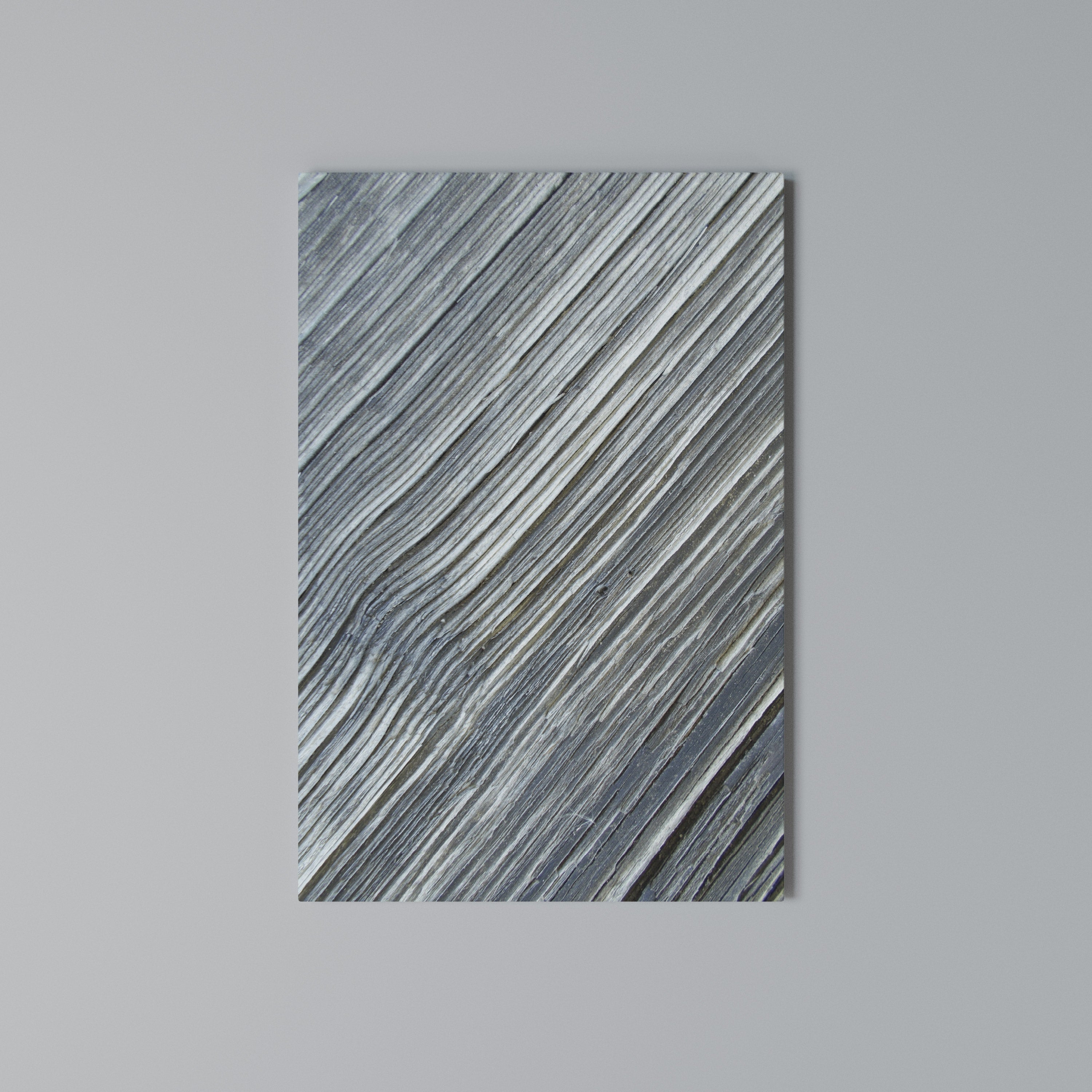 NATURE’S RIBBON RELIC Cuadro en lienzo vertical