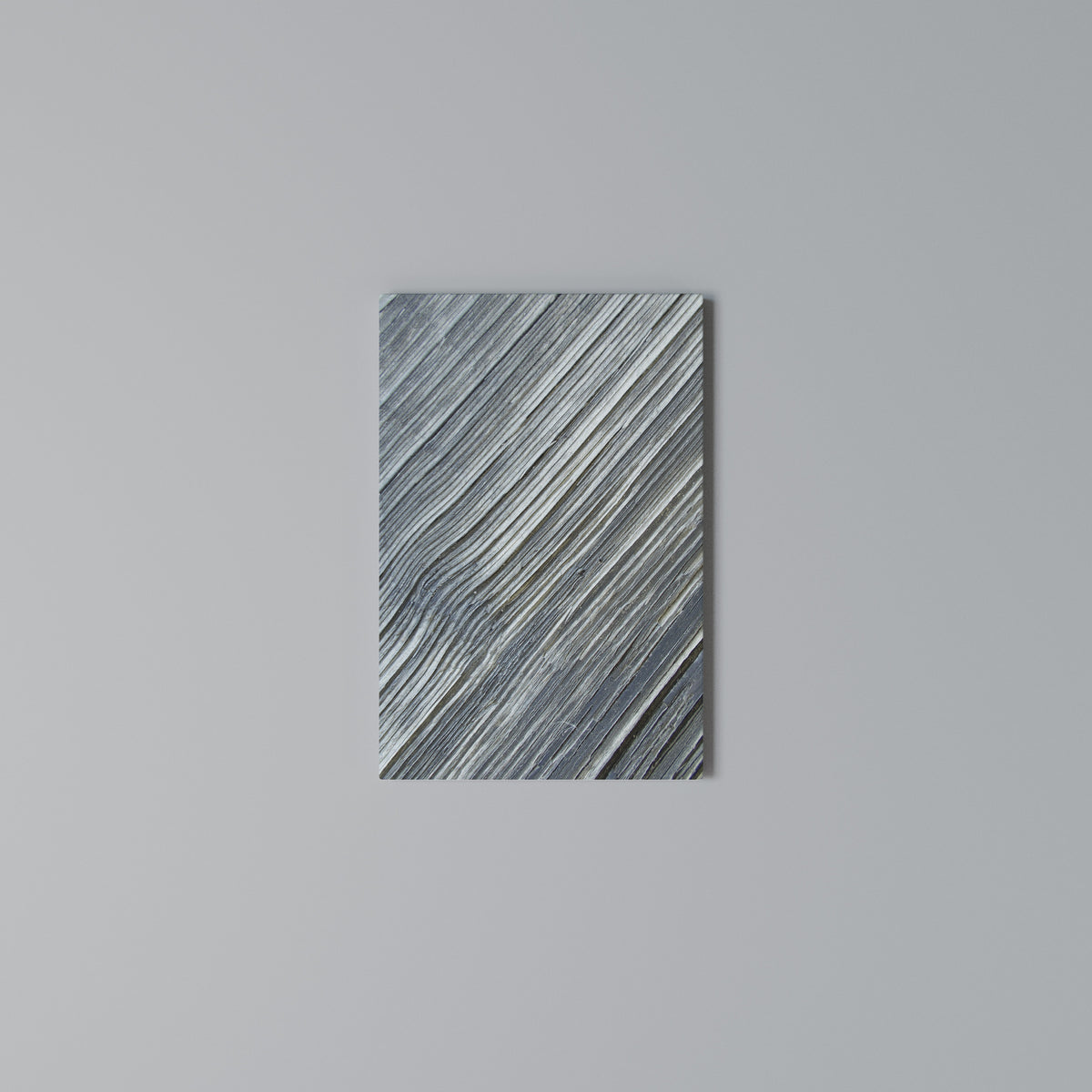 NATURE’S RIBBON RELIC Vertical Canvas Print
