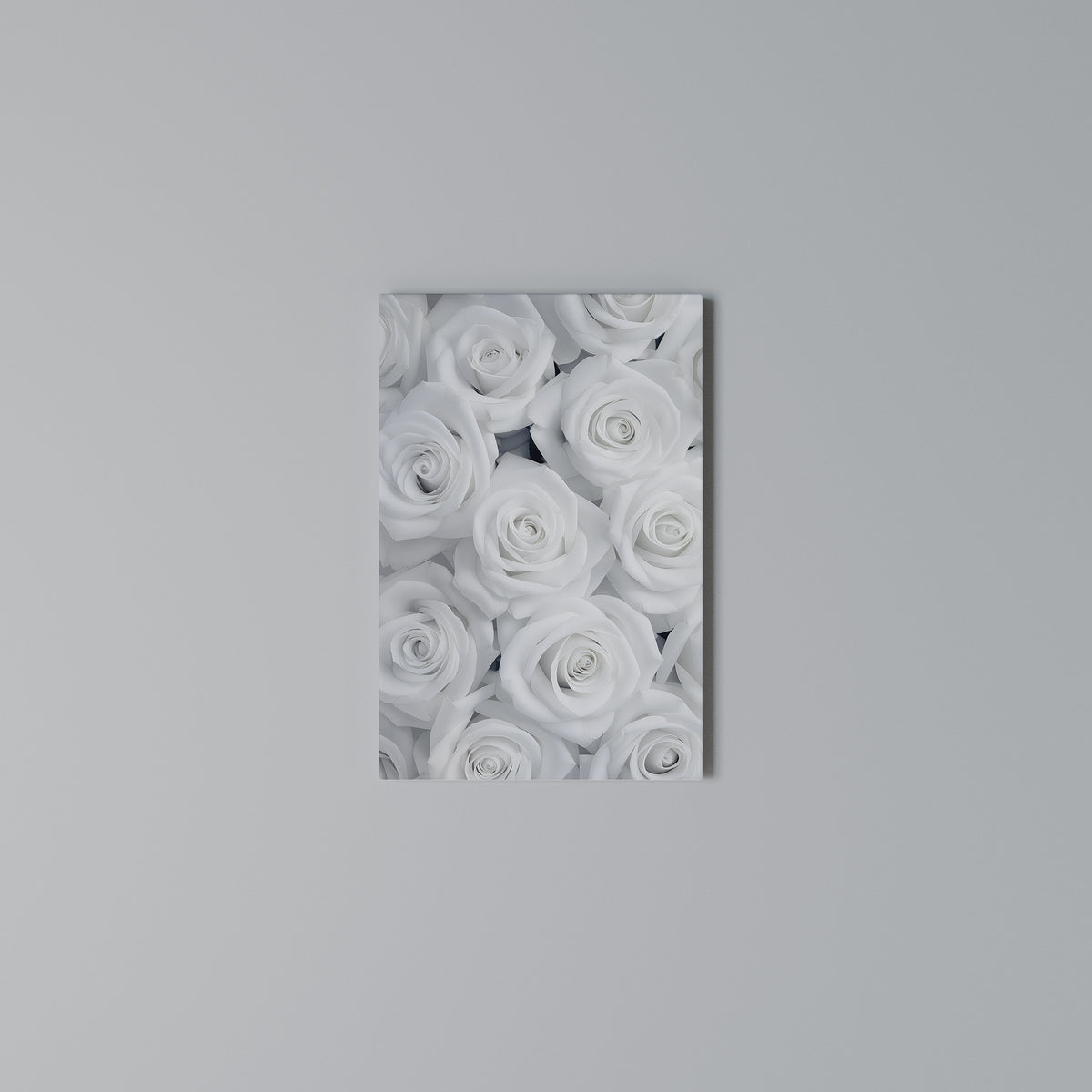 ELEGANCE IN WHITE Quadro em tela vertical