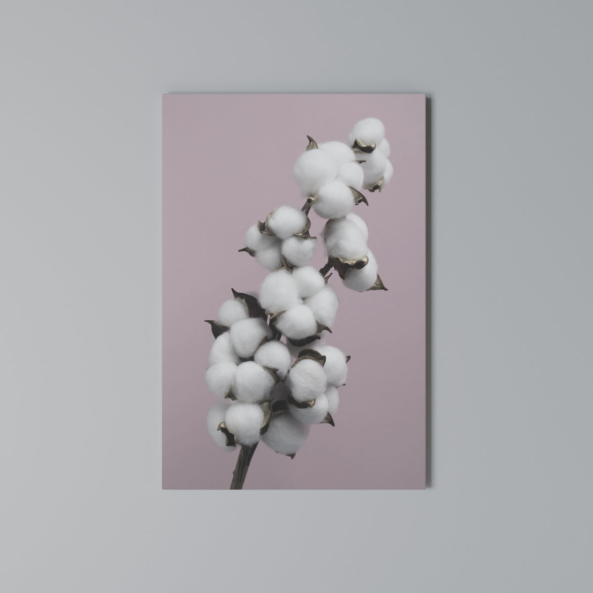 COTTON CLOUDS WHISPER Quadro em tela vertical