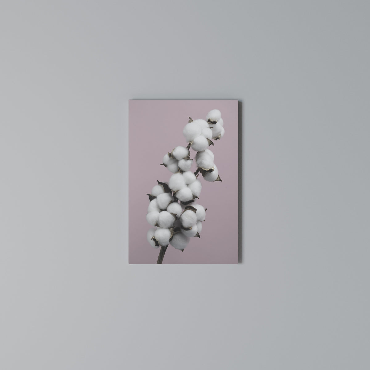 COTTON CLOUDS WHISPER Quadro em tela vertical