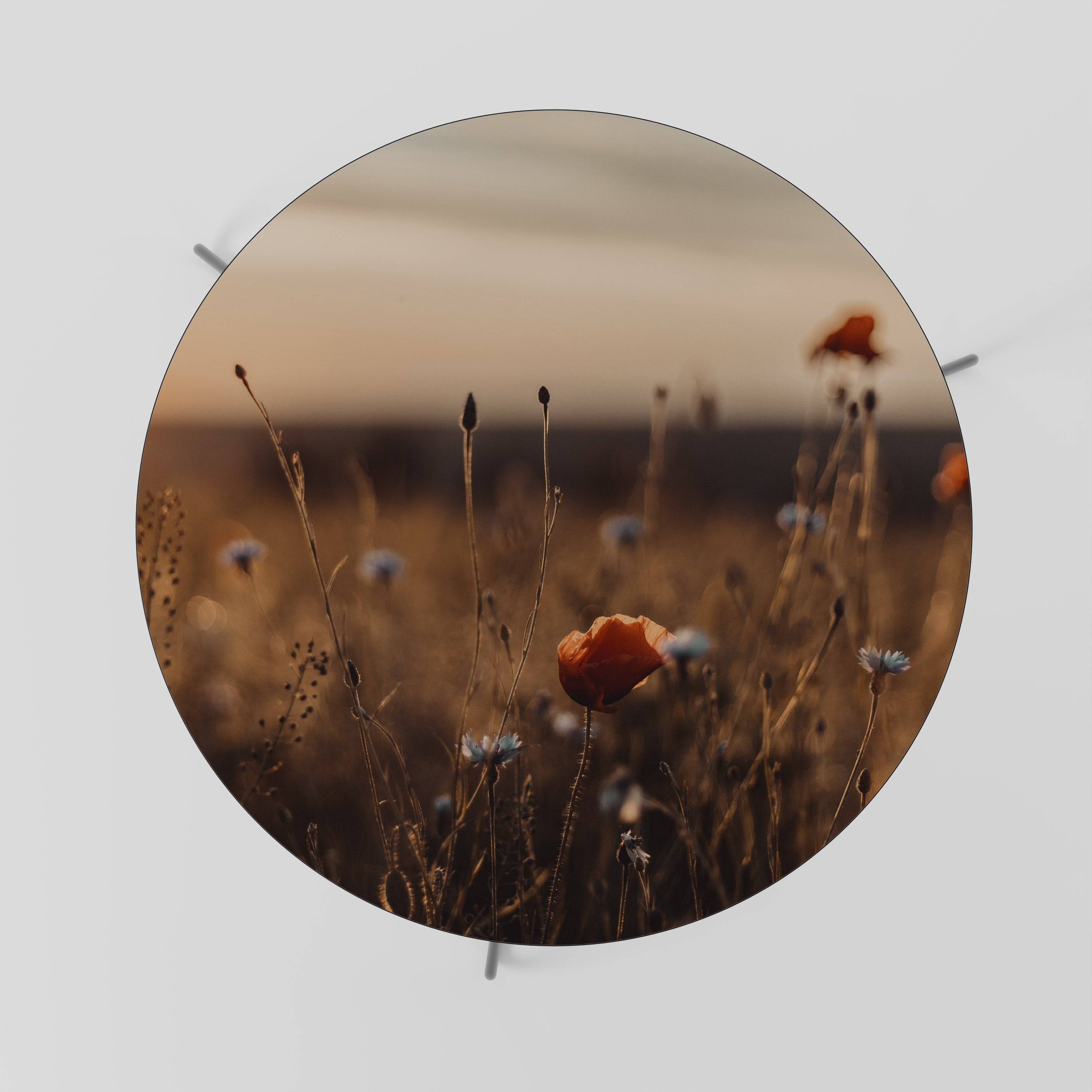 GLOWING MEADOWS AT DUSK Soffbord
