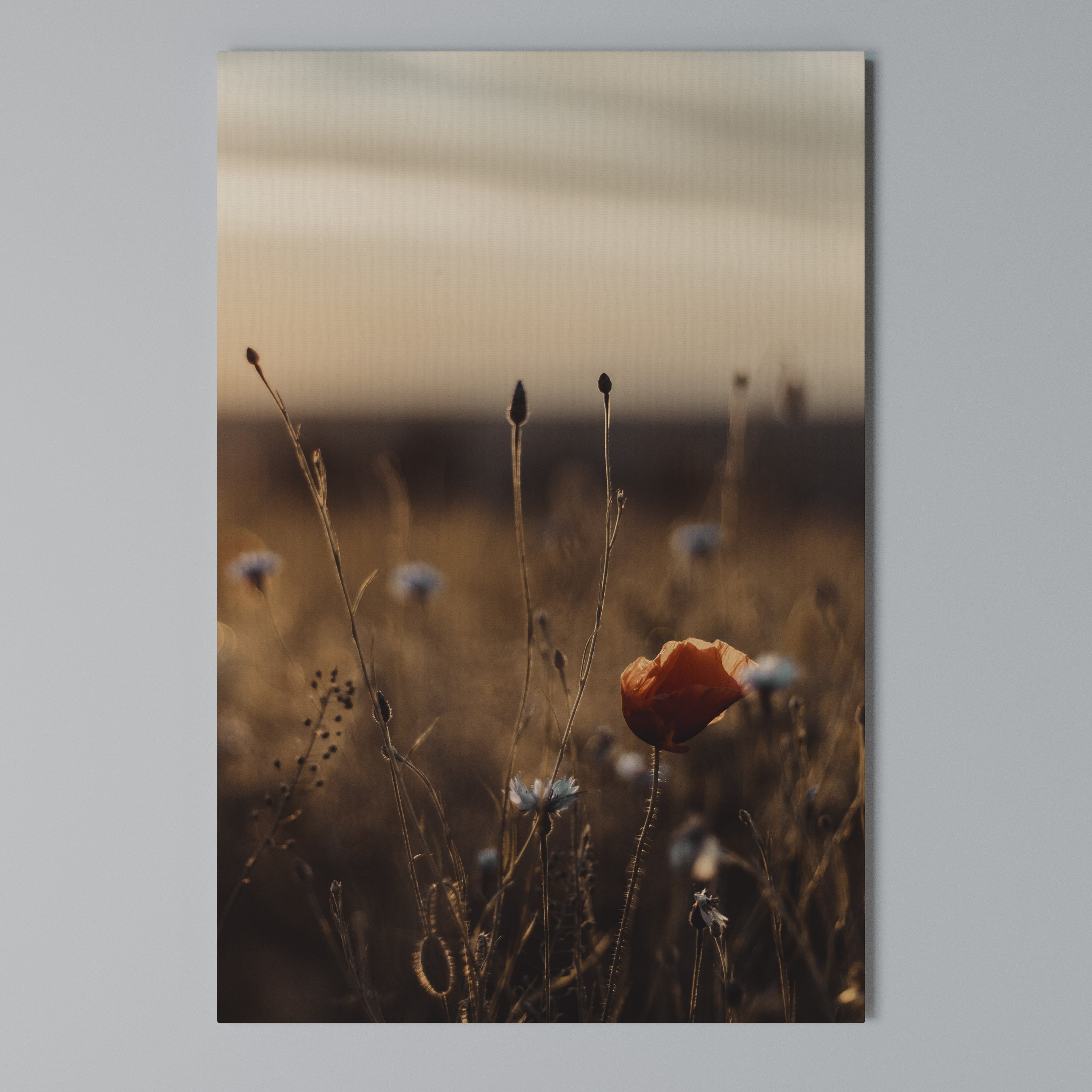GLOWING MEADOWS AT DUSK Vertical Canvas Print