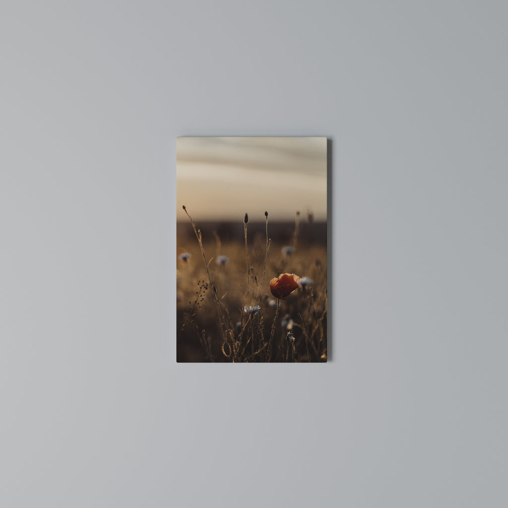 GLOWING MEADOWS AT DUSK Vertical Canvas Print