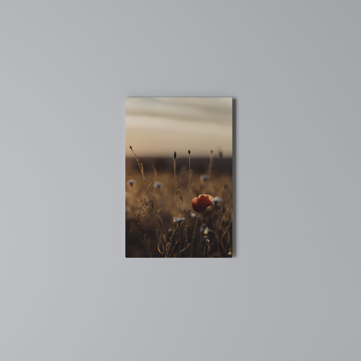 GLOWING MEADOWS AT DUSK Vertical Canvas Print