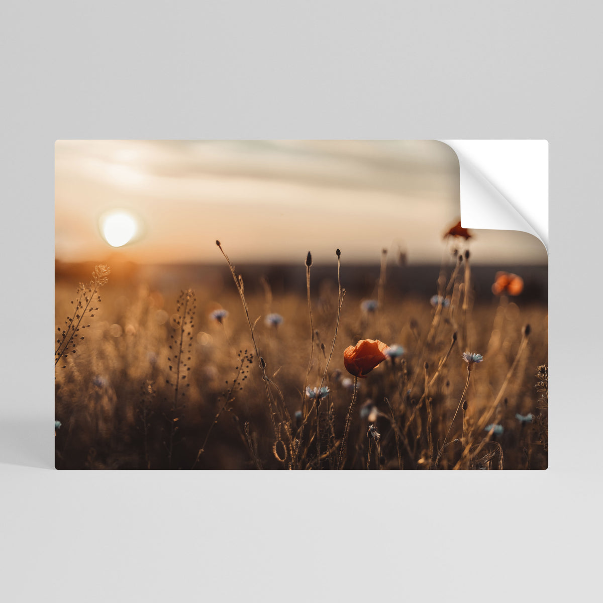 GLOWING MEADOWS AT DUSK Poster Orizzontale Adesivo