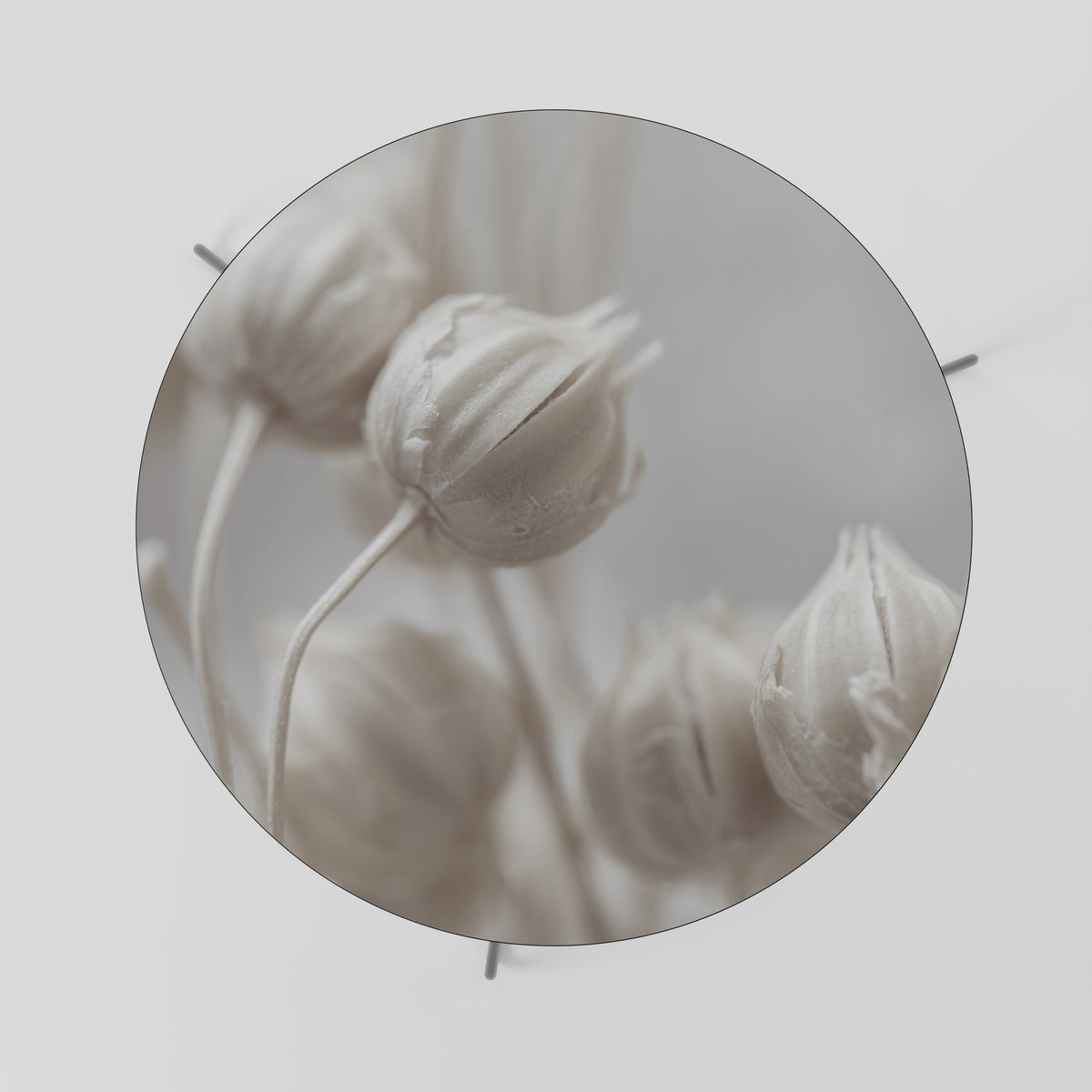 MYSTICAL BOTANICAL BLUSH Couchtisch