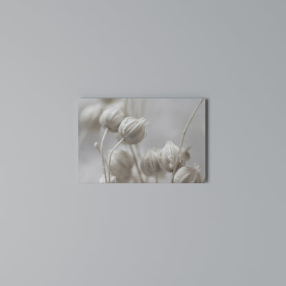MYSTICAL BOTANICAL BLUSH Horizontal Canvas Print