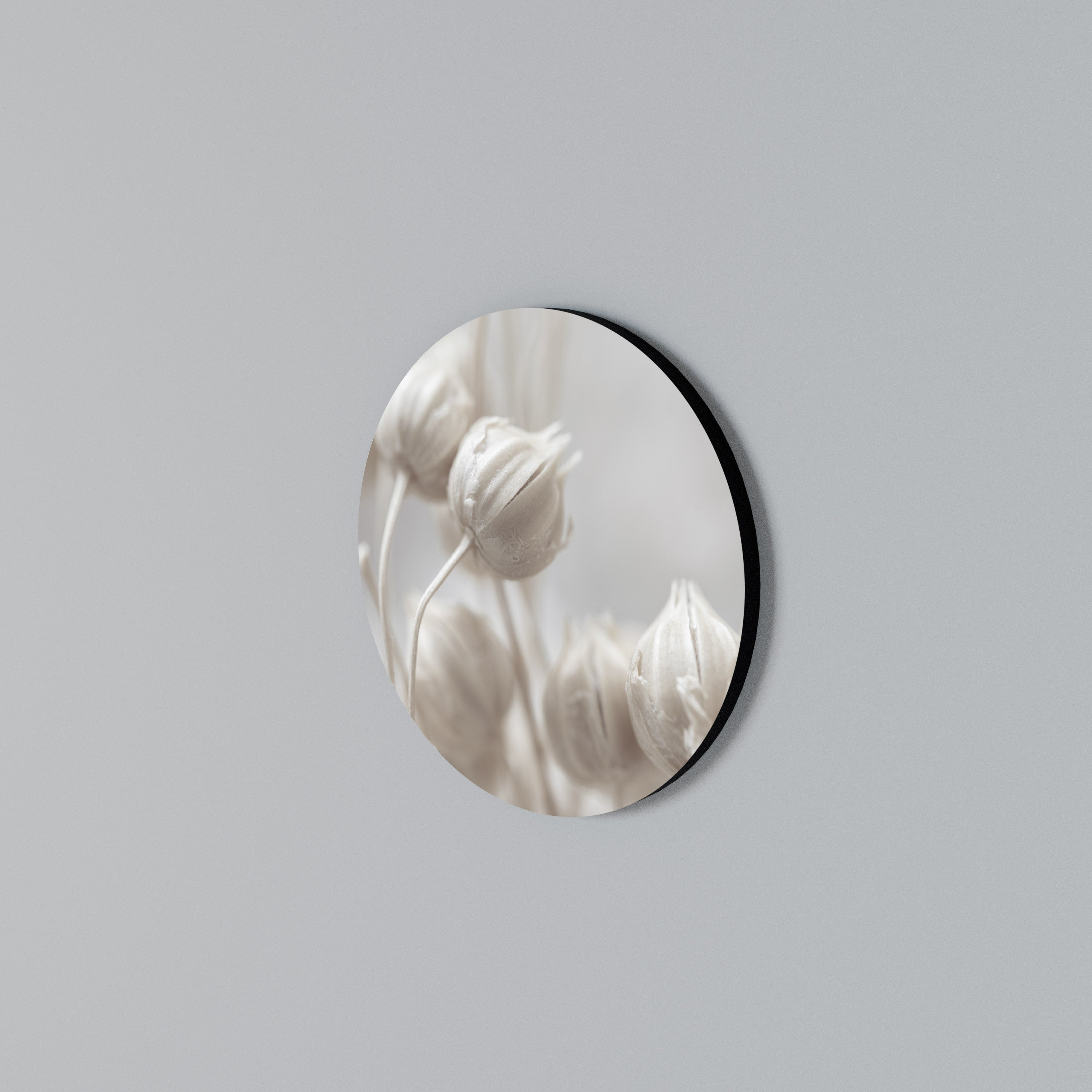 MYSTICAL BOTANICAL BLUSH Round Wall Art