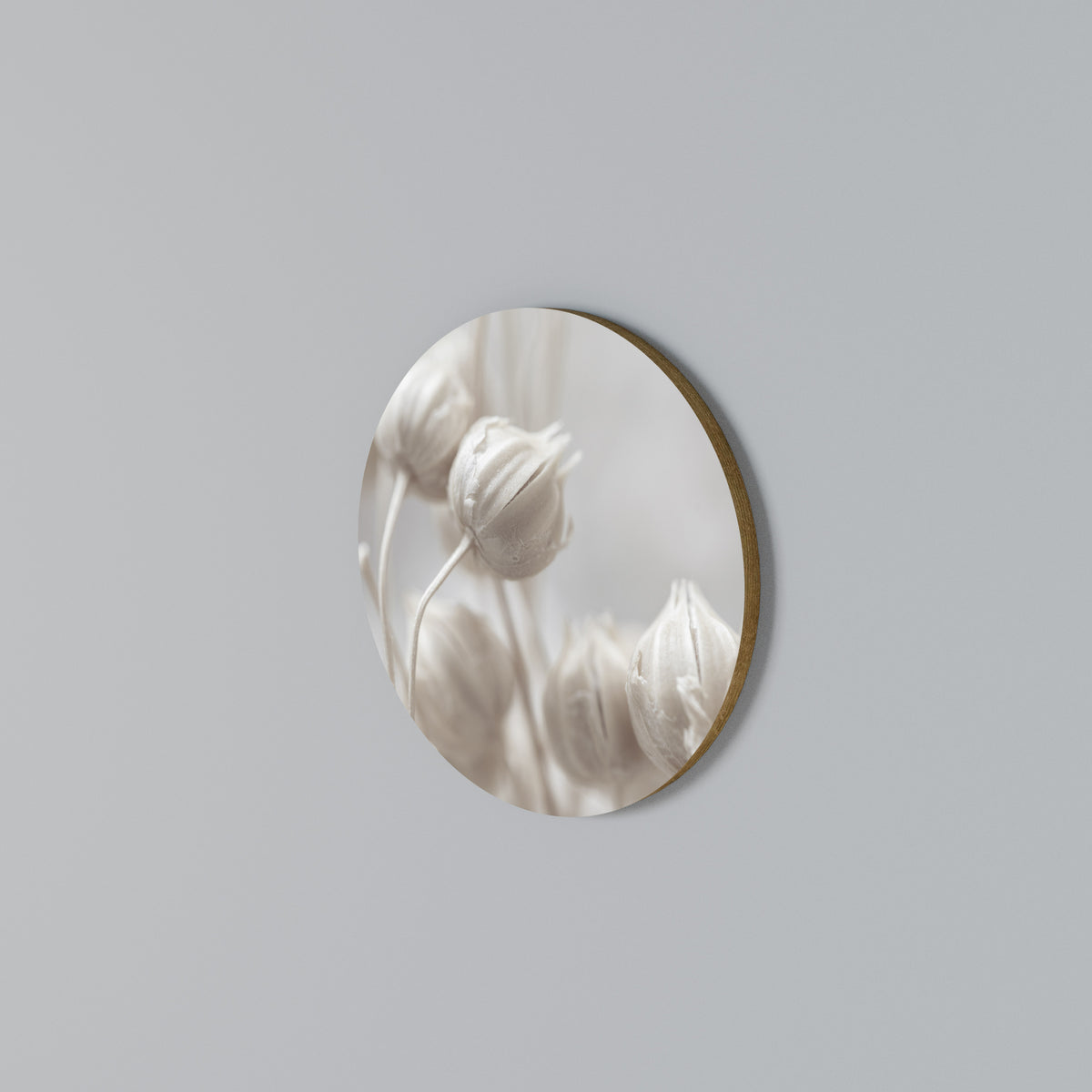 MYSTICAL BOTANICAL BLUSH Round Wall Art