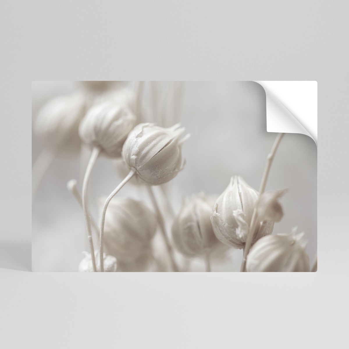 MYSTICAL BOTANICAL BLUSH Poster Orizzontale Adesivo
