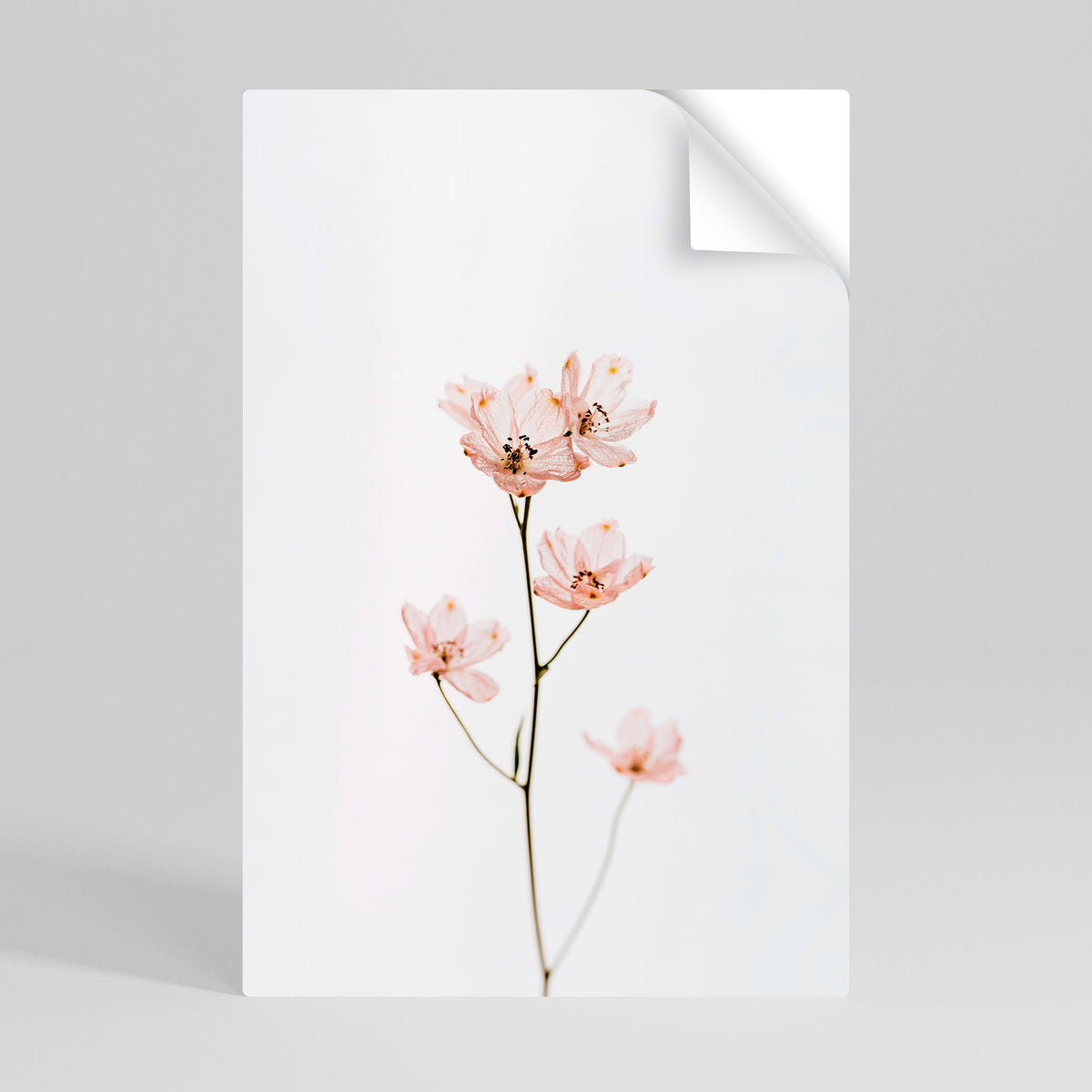 WHISPERS OF PINK Peel and Stick Vertical Poster
