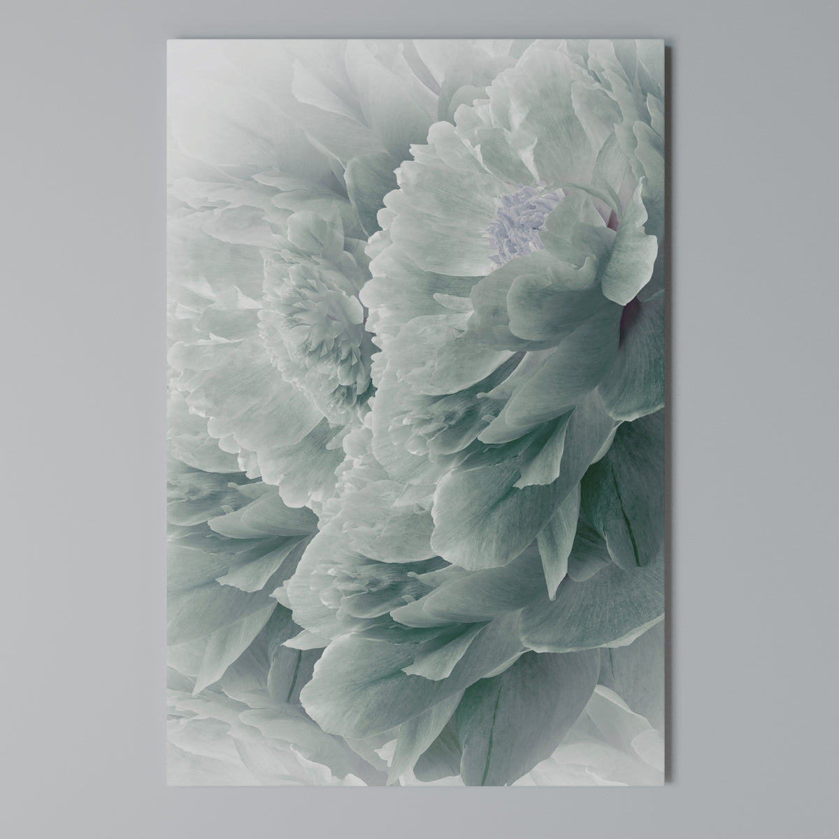 TREE PEONIES Cuadro en lienzo vertical