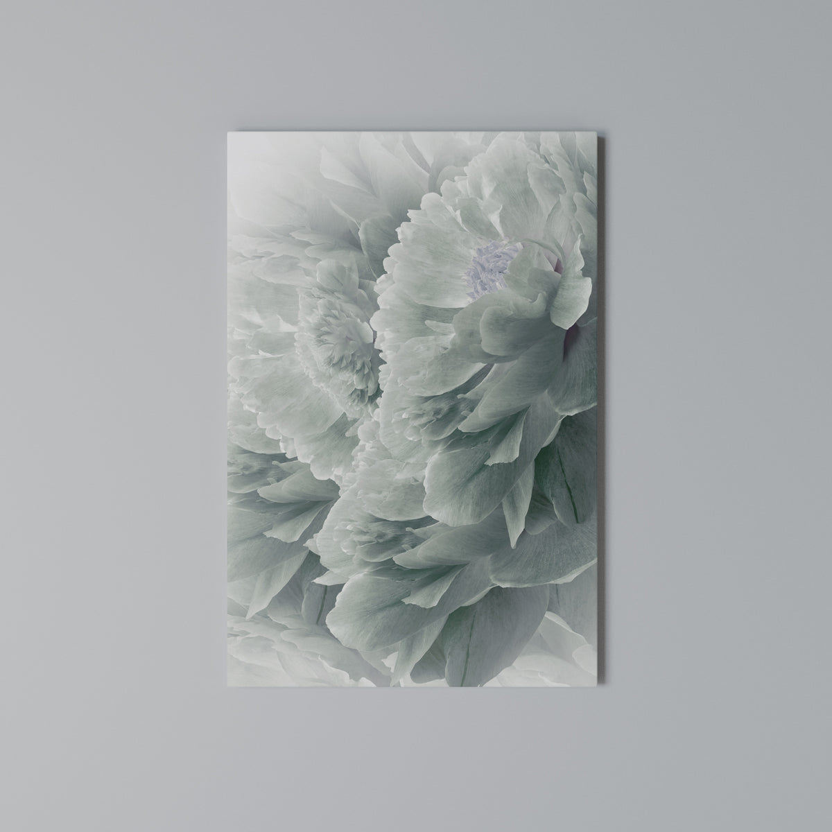 TREE PEONIES Cuadro en lienzo vertical