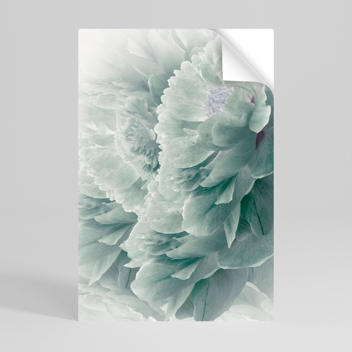TREE PEONIES Poster Verticale Adesivo