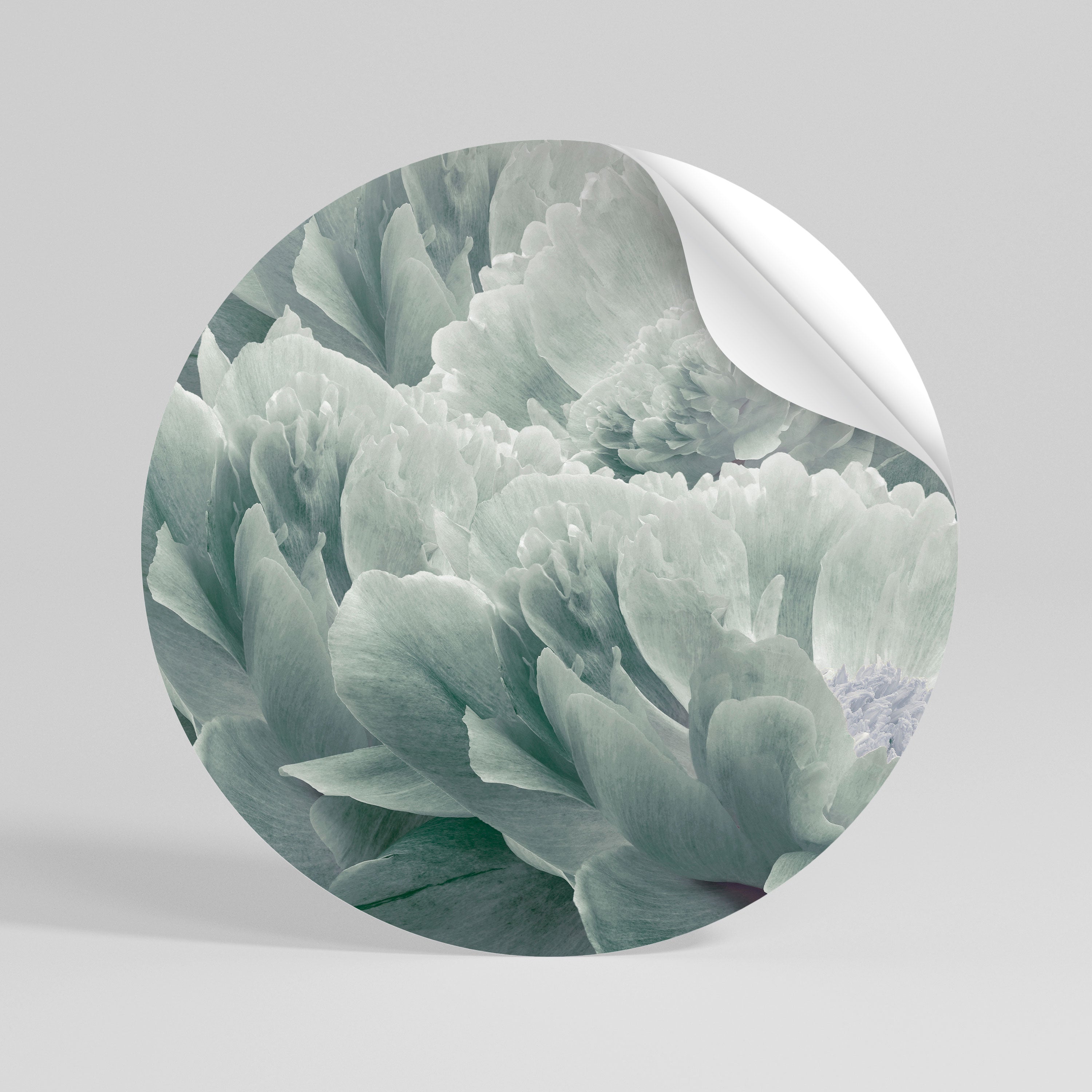 TREE PEONIES Peel and Stick Round Sticker
