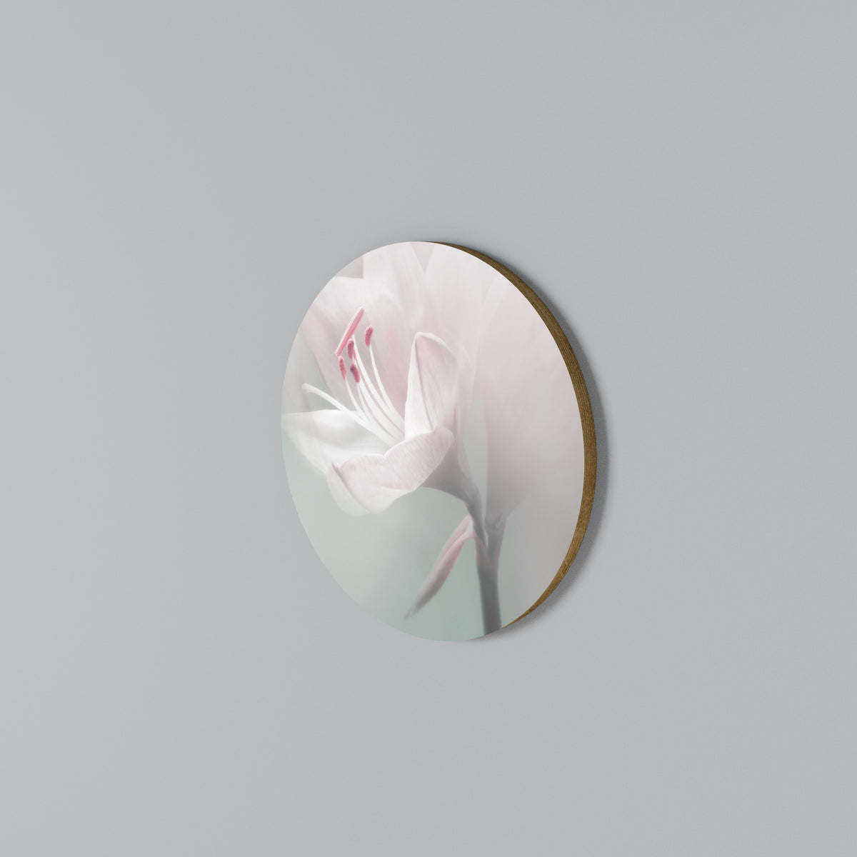 GENTLE LILY Στρογγυλός πίνακας ζωγραφικής