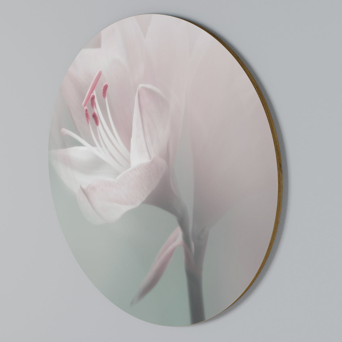 GENTLE LILY Στρογγυλός πίνακας ζωγραφικής