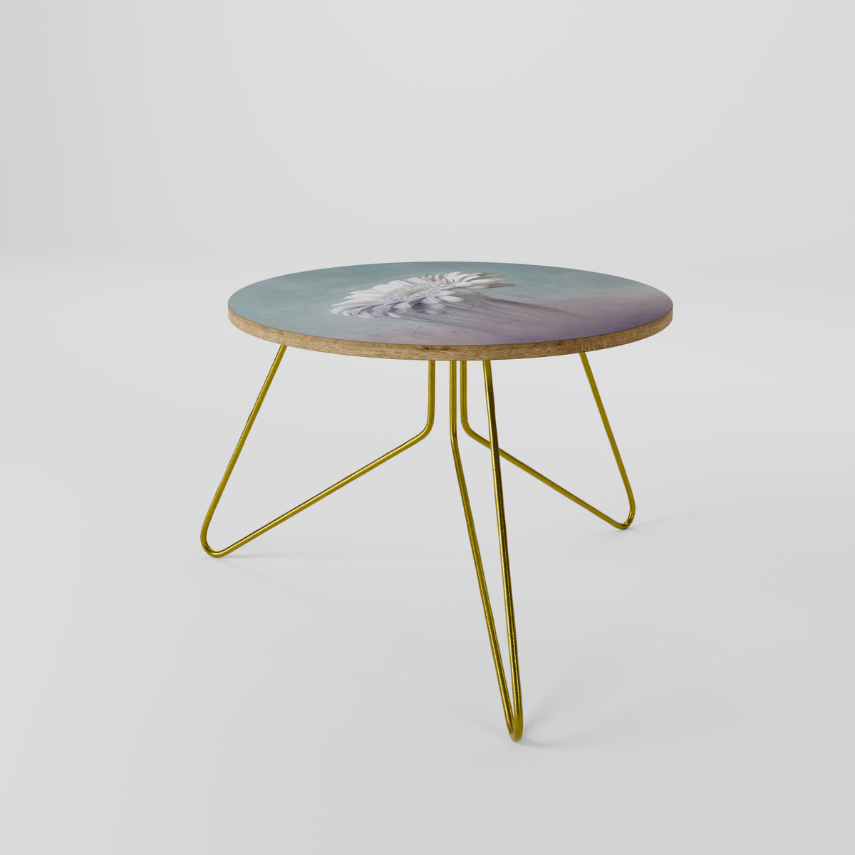 MELTING GERBERA Coffee Table