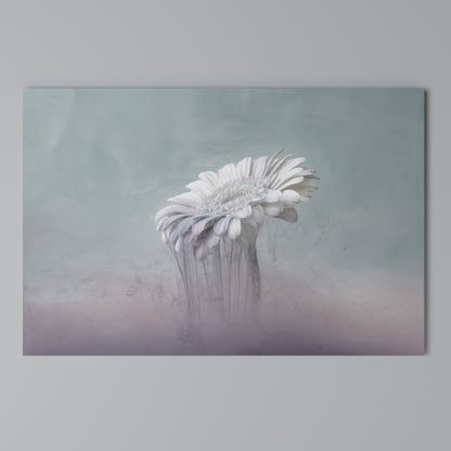 MELTING GERBERA Horizontal Canvas Print