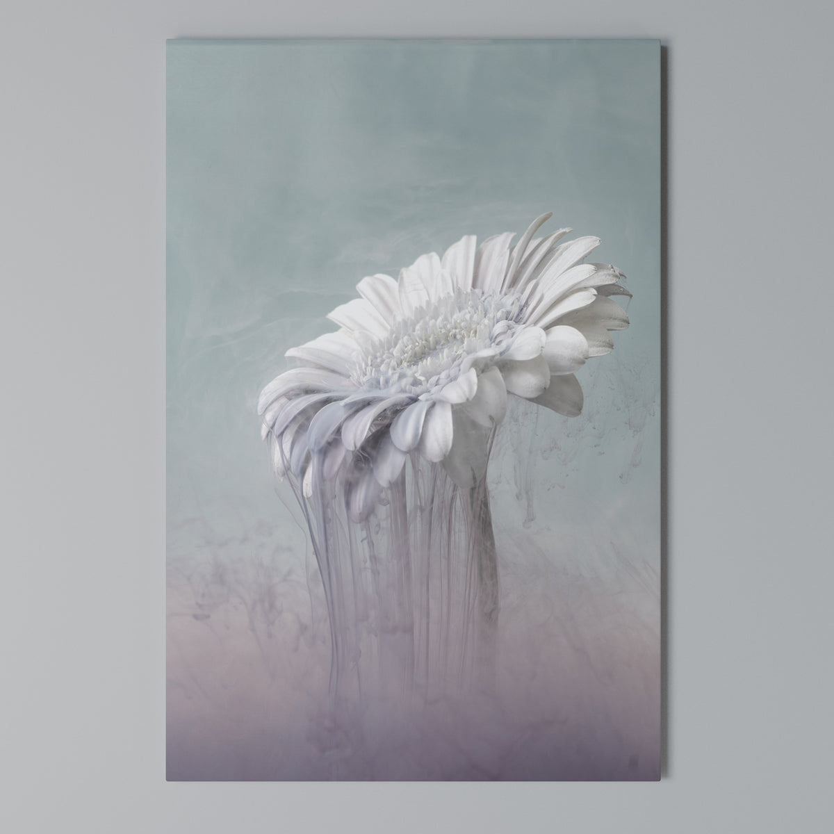 MELTING GERBERA Cuadro en lienzo vertical