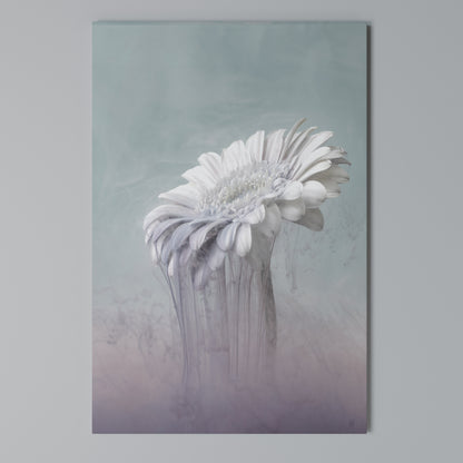 MELTING GERBERA Cuadro en lienzo vertical