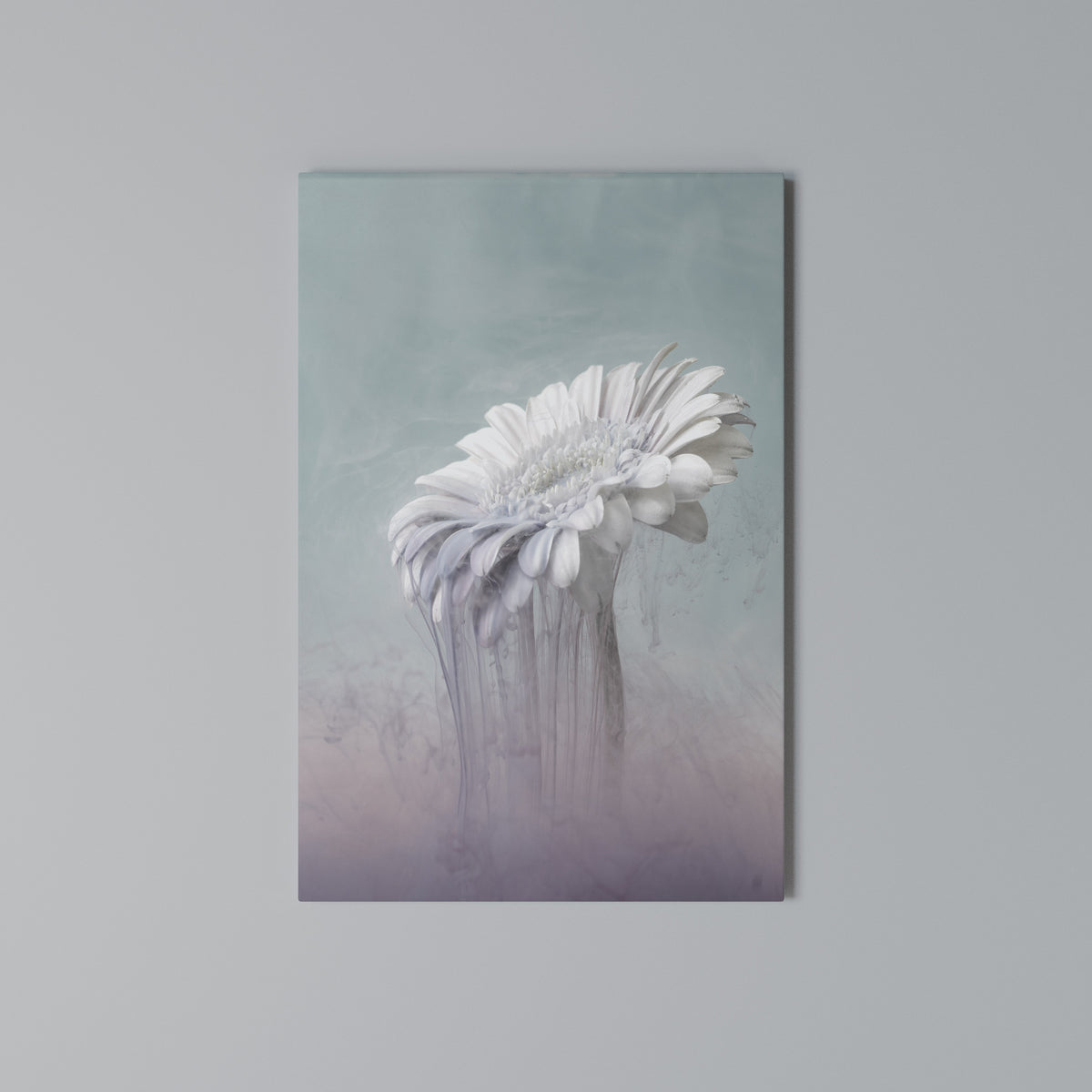MELTING GERBERA Cuadro en lienzo vertical