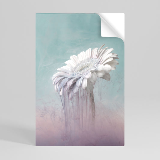 MELTING GERBERA Svislý samolepicí plakát