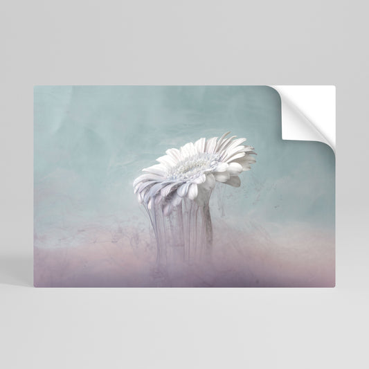 MELTING GERBERA Vodorovný samolepicí plakát