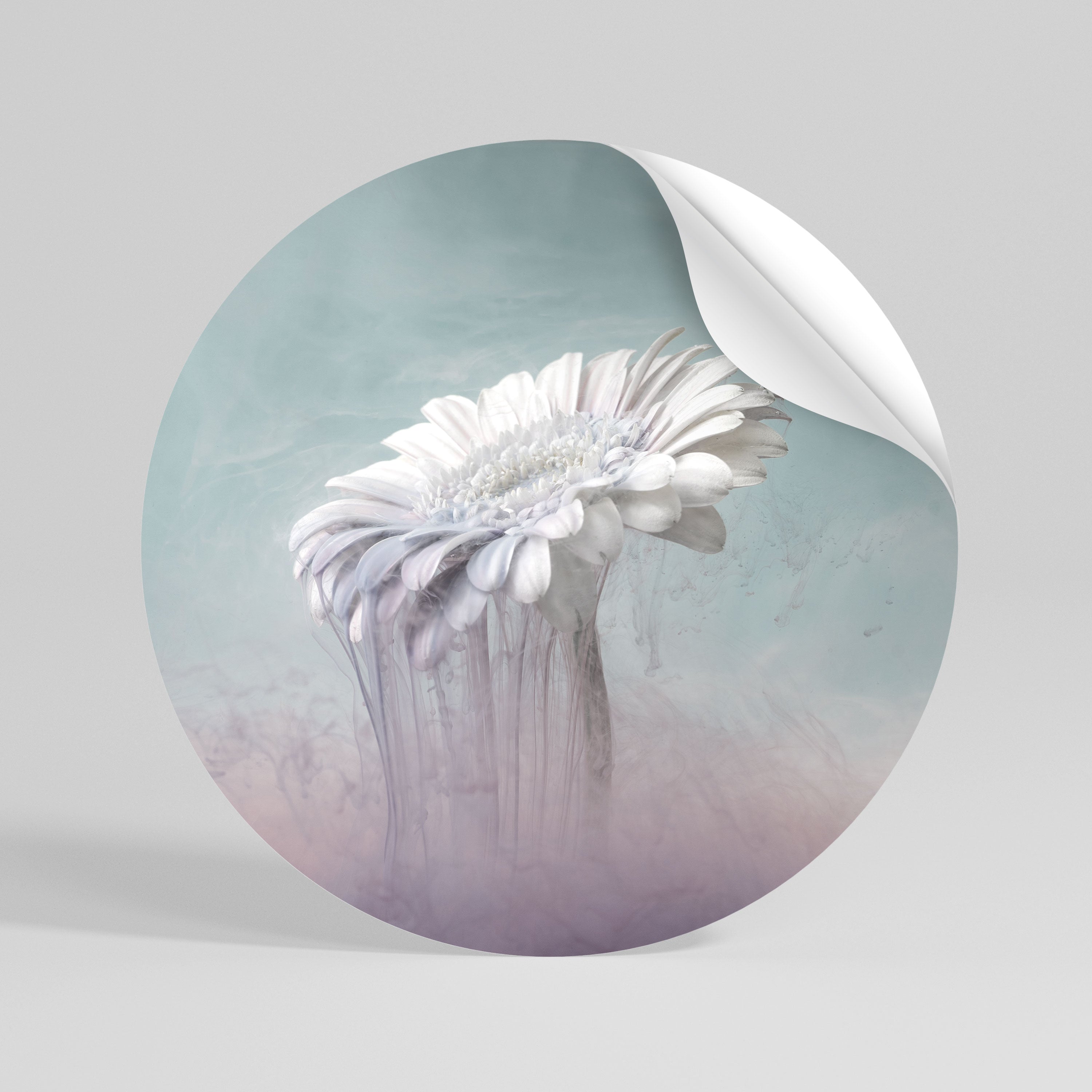 MELTING GERBERA Runder Wandsticker zum Abziehen und Aufkleben