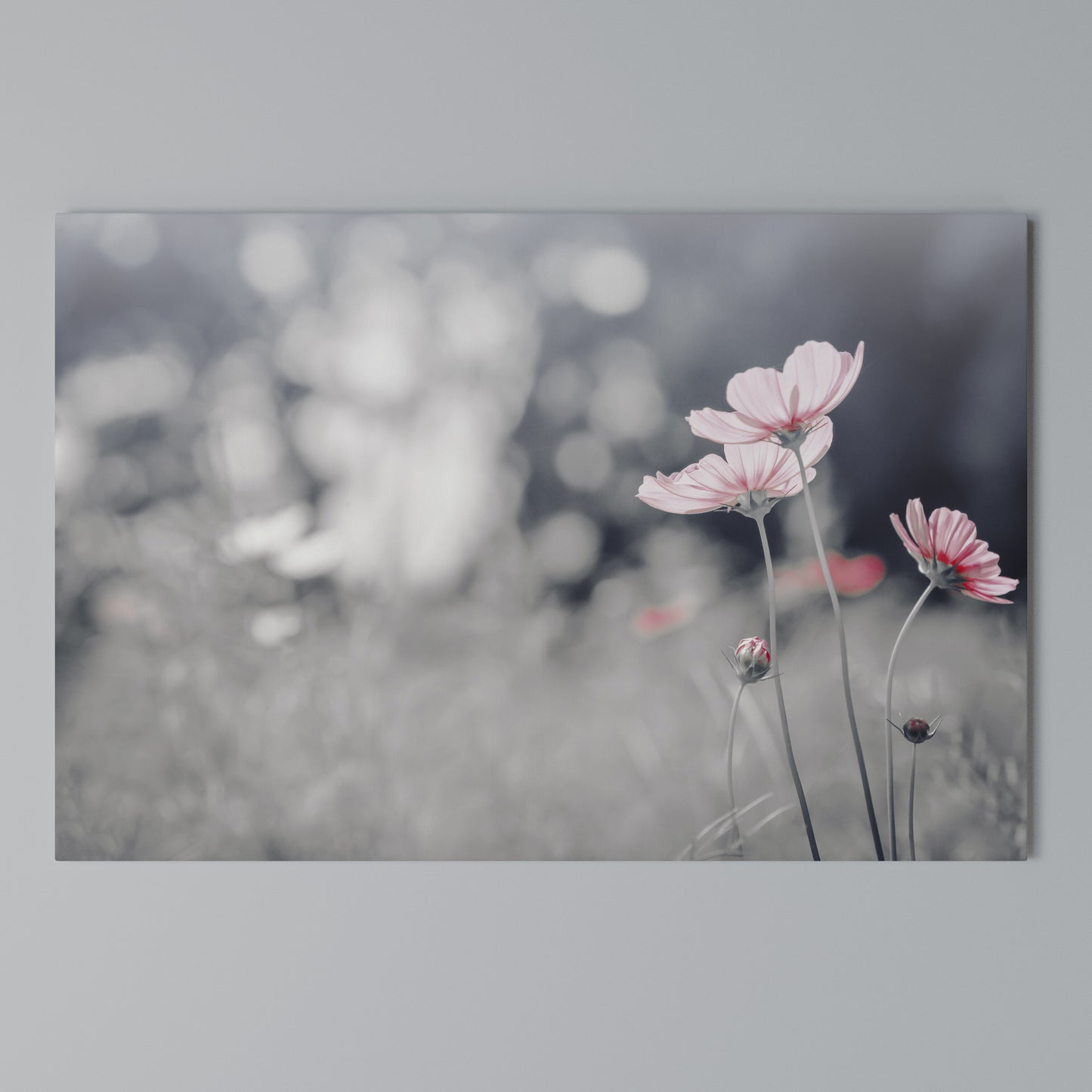 SUBTLE PETAL DANCE Stampa su tela orizzontale