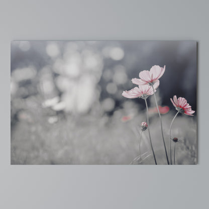 SUBTLE PETAL DANCE Stampa su tela orizzontale