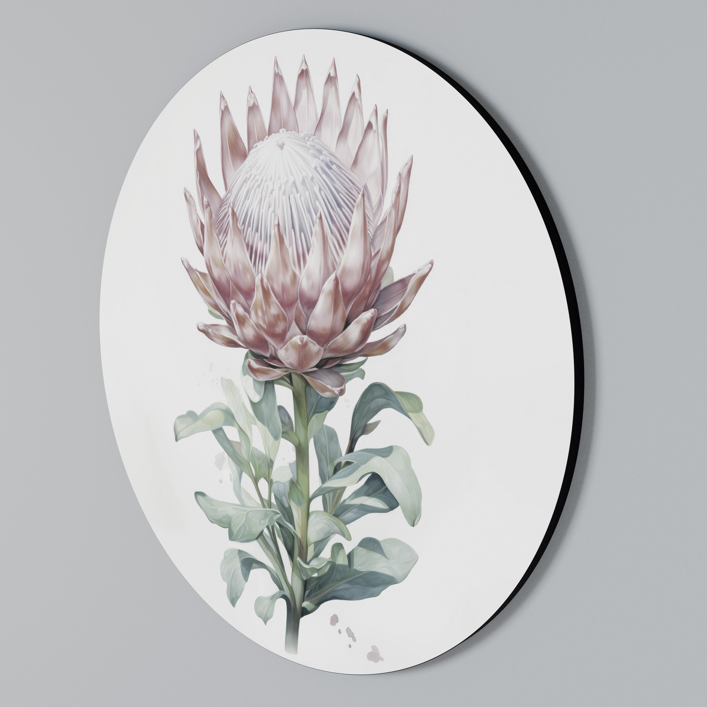 ROYAL PROTEA Round Wall Art