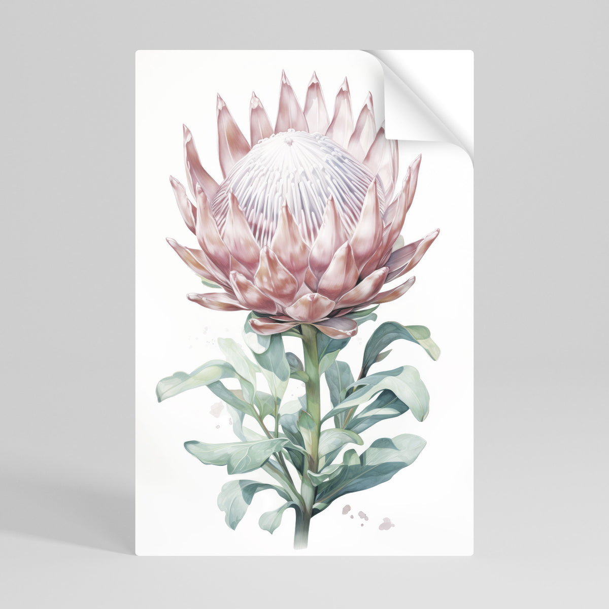 ROYAL PROTEA Poster Verticale Adesivo