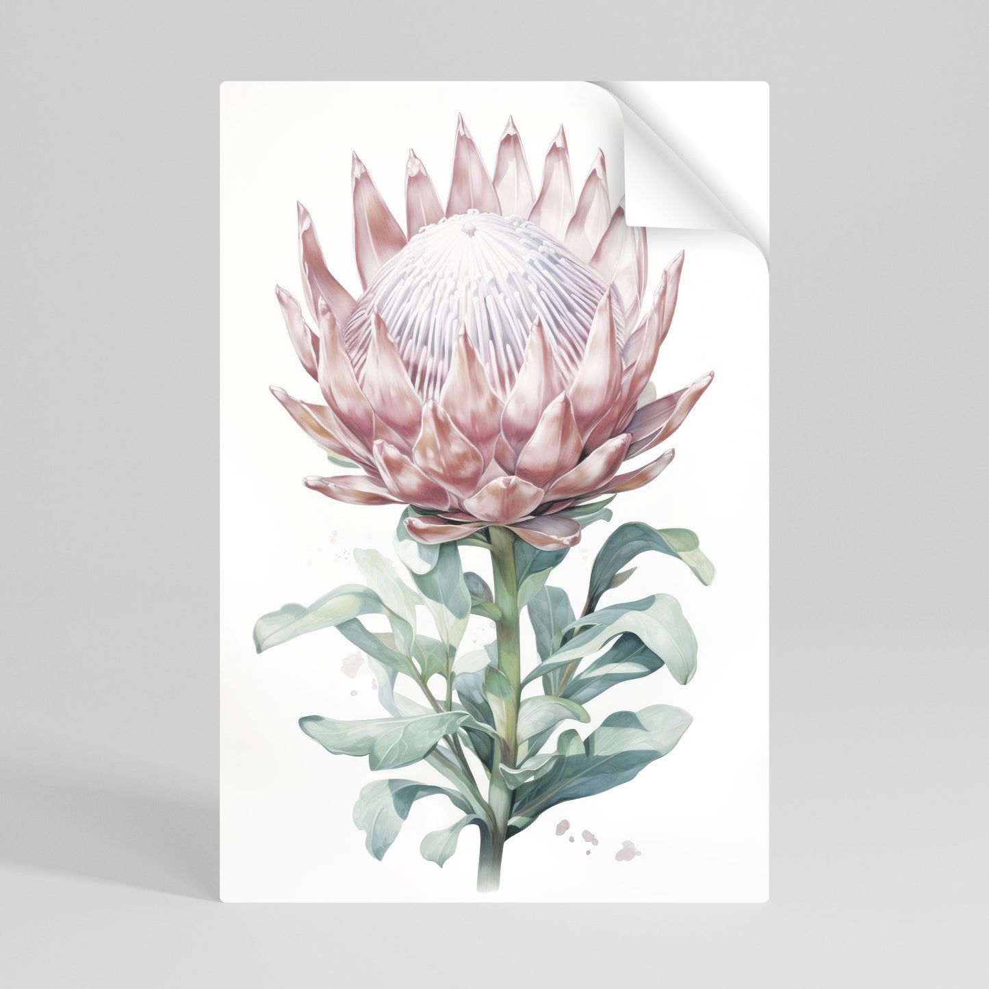 ROYAL PROTEA Självhäftande Vertikal Poster