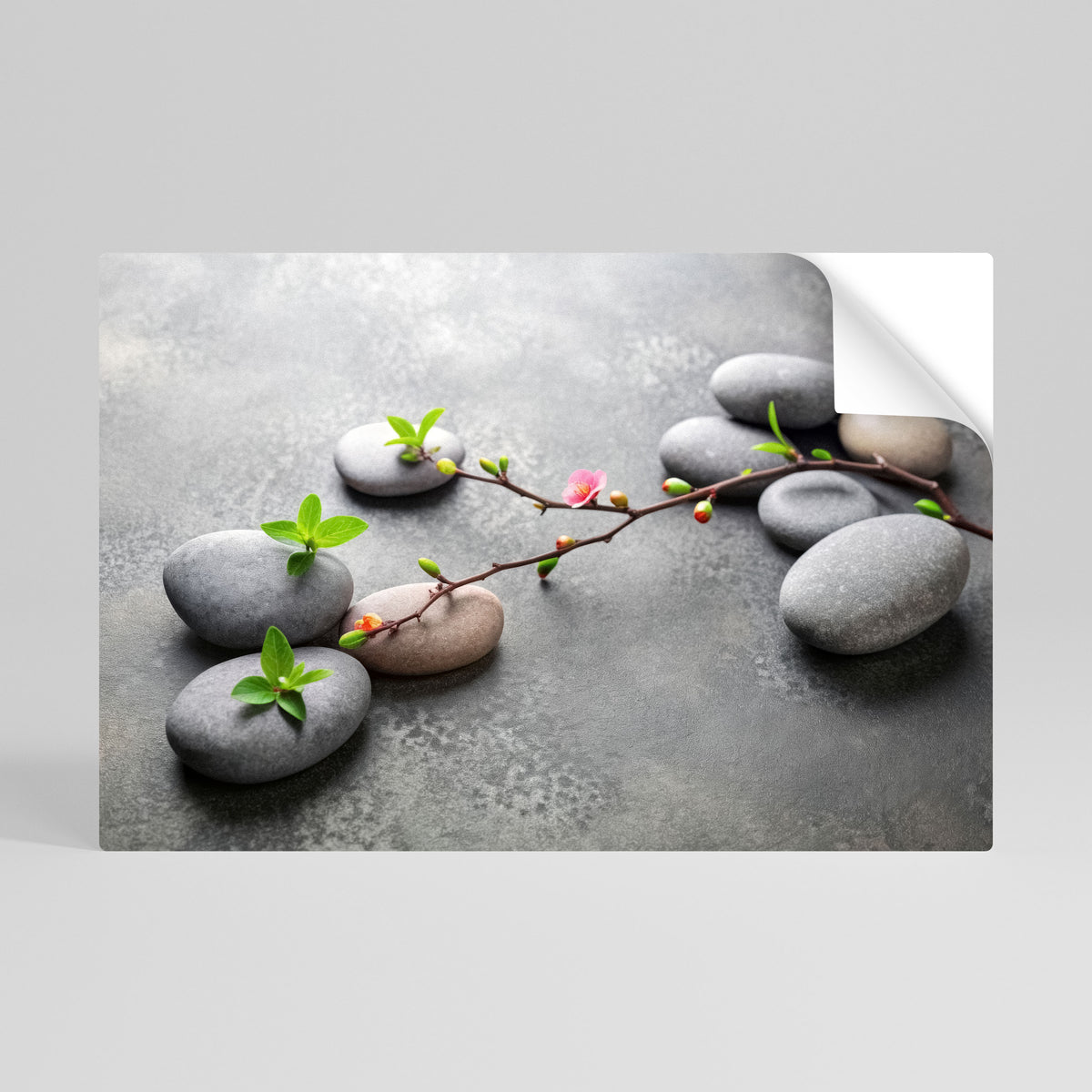 STONES AND BLOSSOMS Póster Autocolante Horizontal