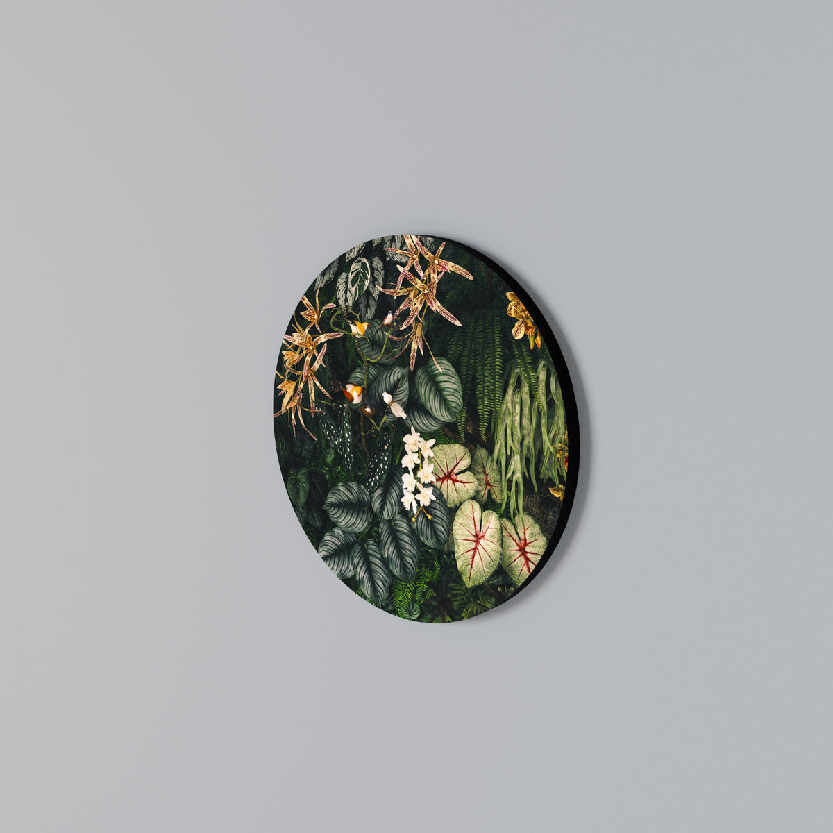 SILENT WILDERNESS Arte de pared redondo
