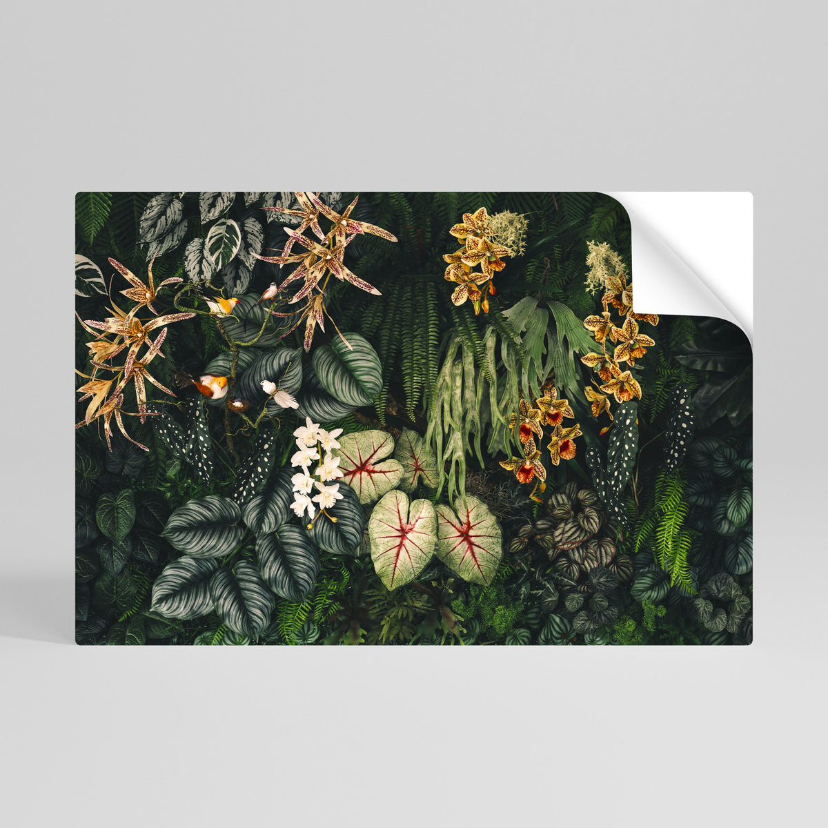 SILENT WILDERNESS Peel and Stick Horizontal Poster