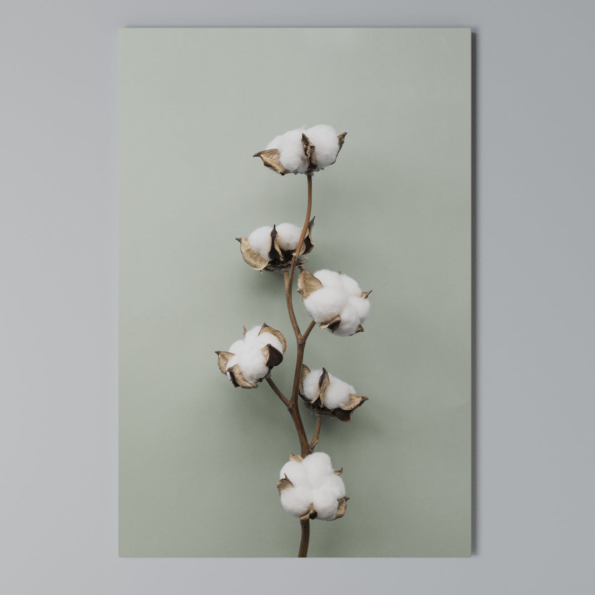 COTTON DREAMS UNFOLDED Κατακόρυφος Πίνακας σε Καμβά