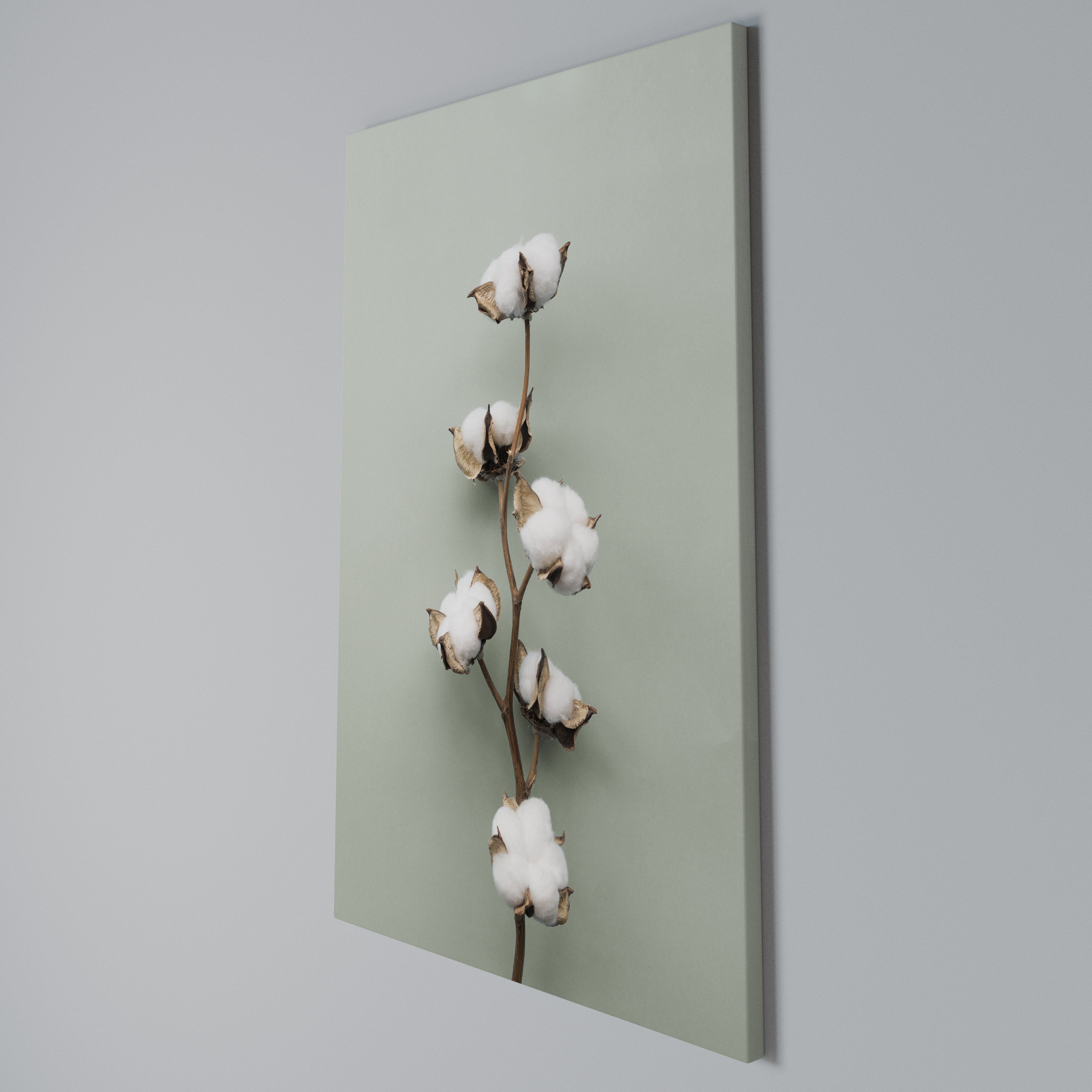 COTTON DREAMS UNFOLDED Quadro em tela vertical