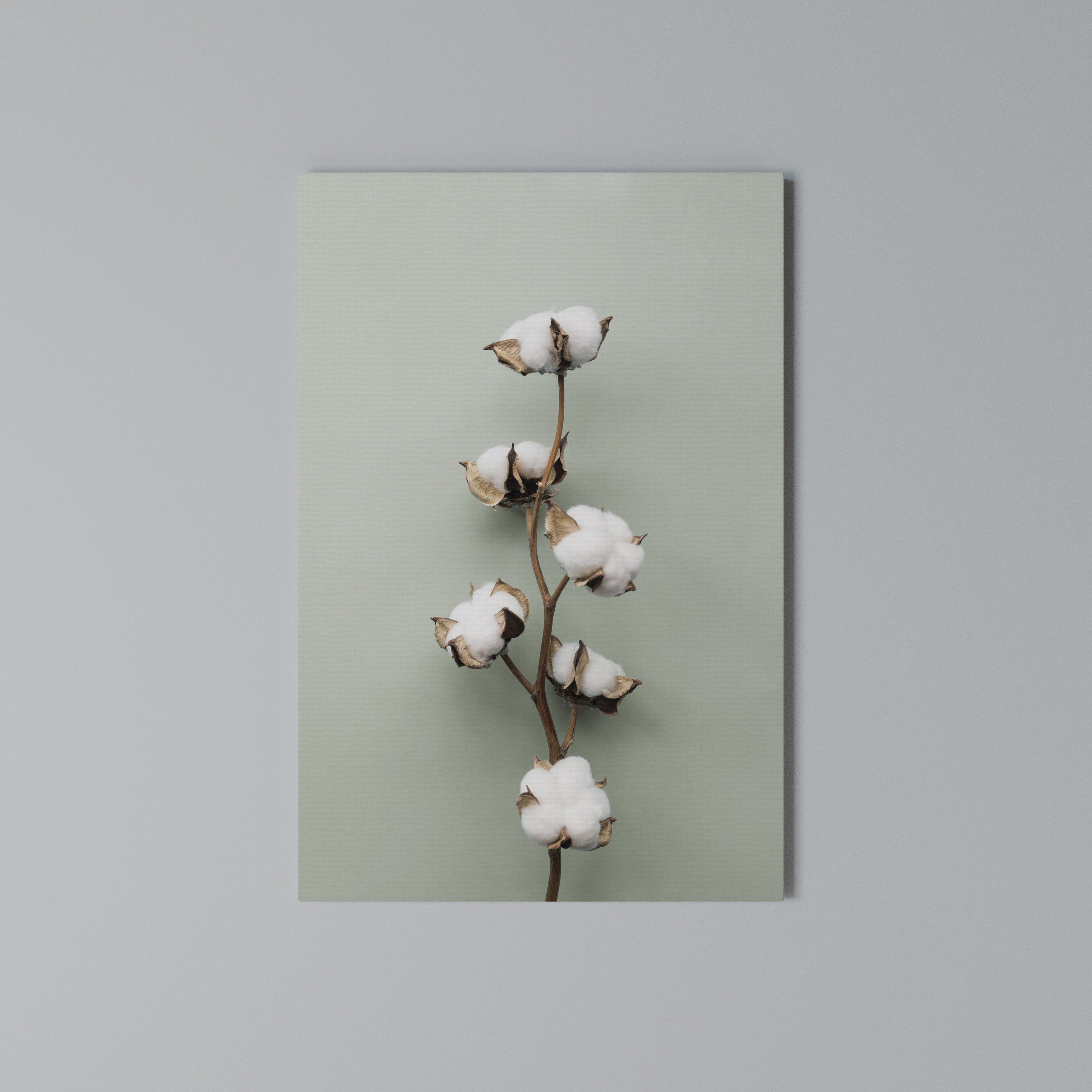 COTTON DREAMS UNFOLDED Quadro em tela vertical
