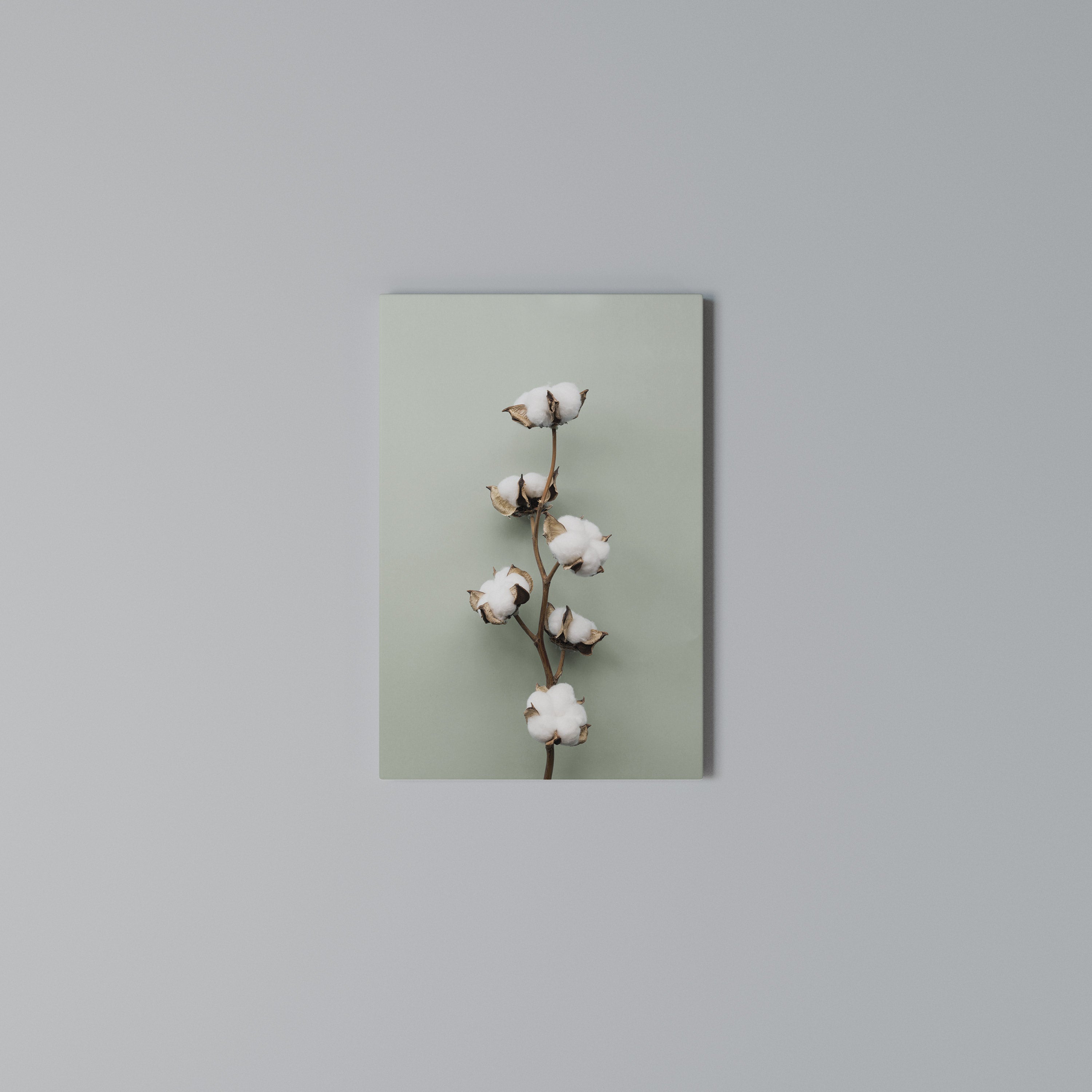 COTTON DREAMS UNFOLDED Quadro em tela vertical