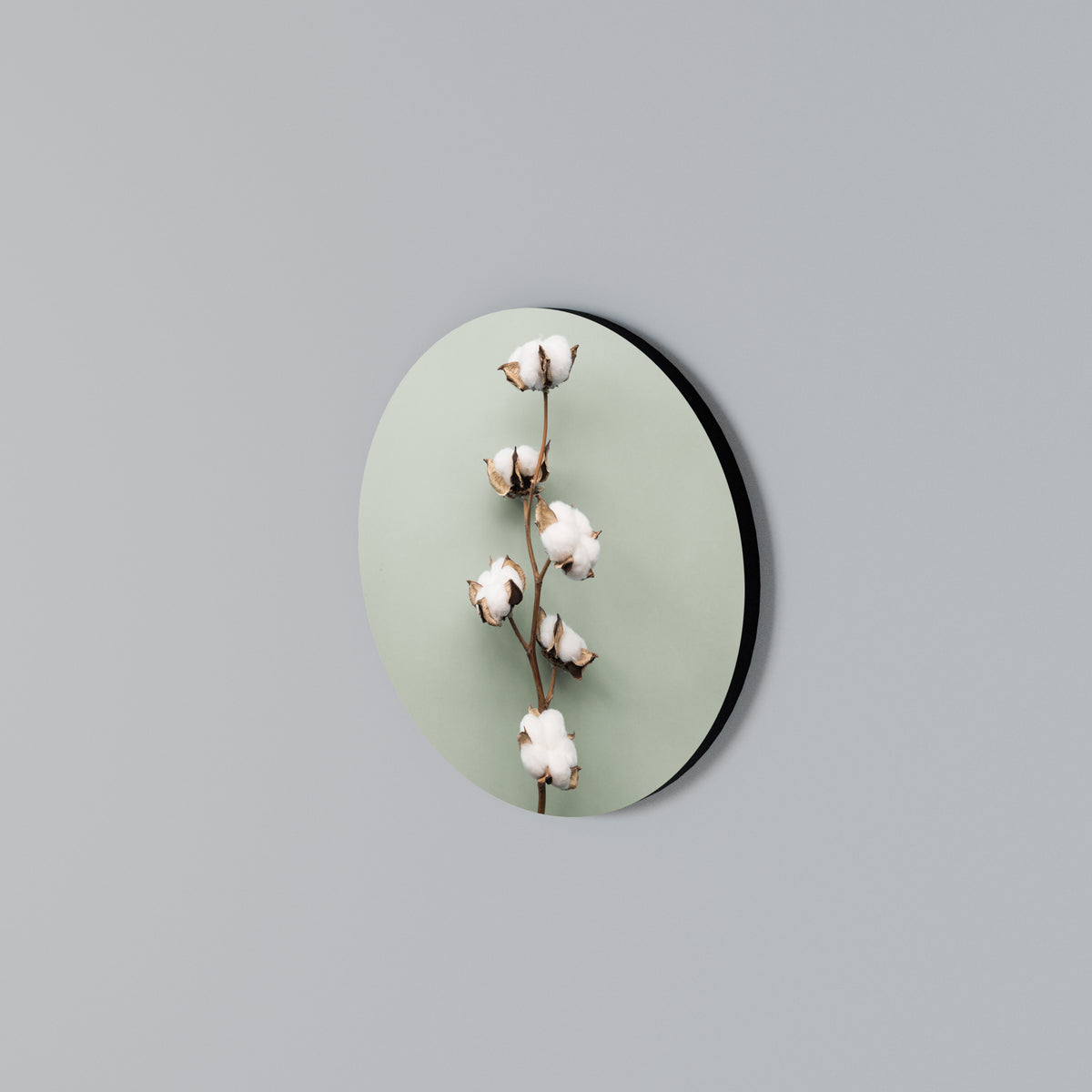 COTTON DREAMS UNFOLDED Arte de pared redondo